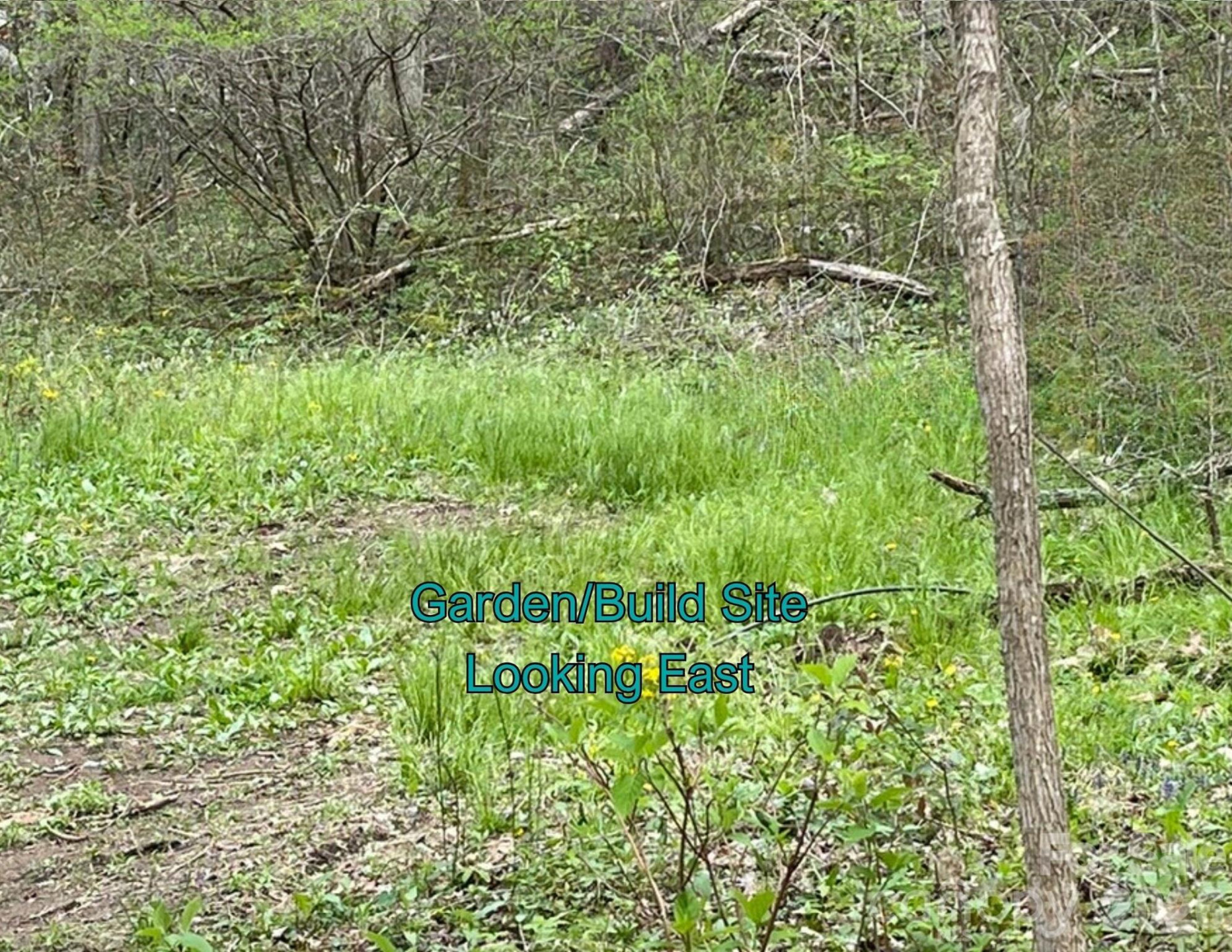 130 Gavin Glenn Road - Photo 4