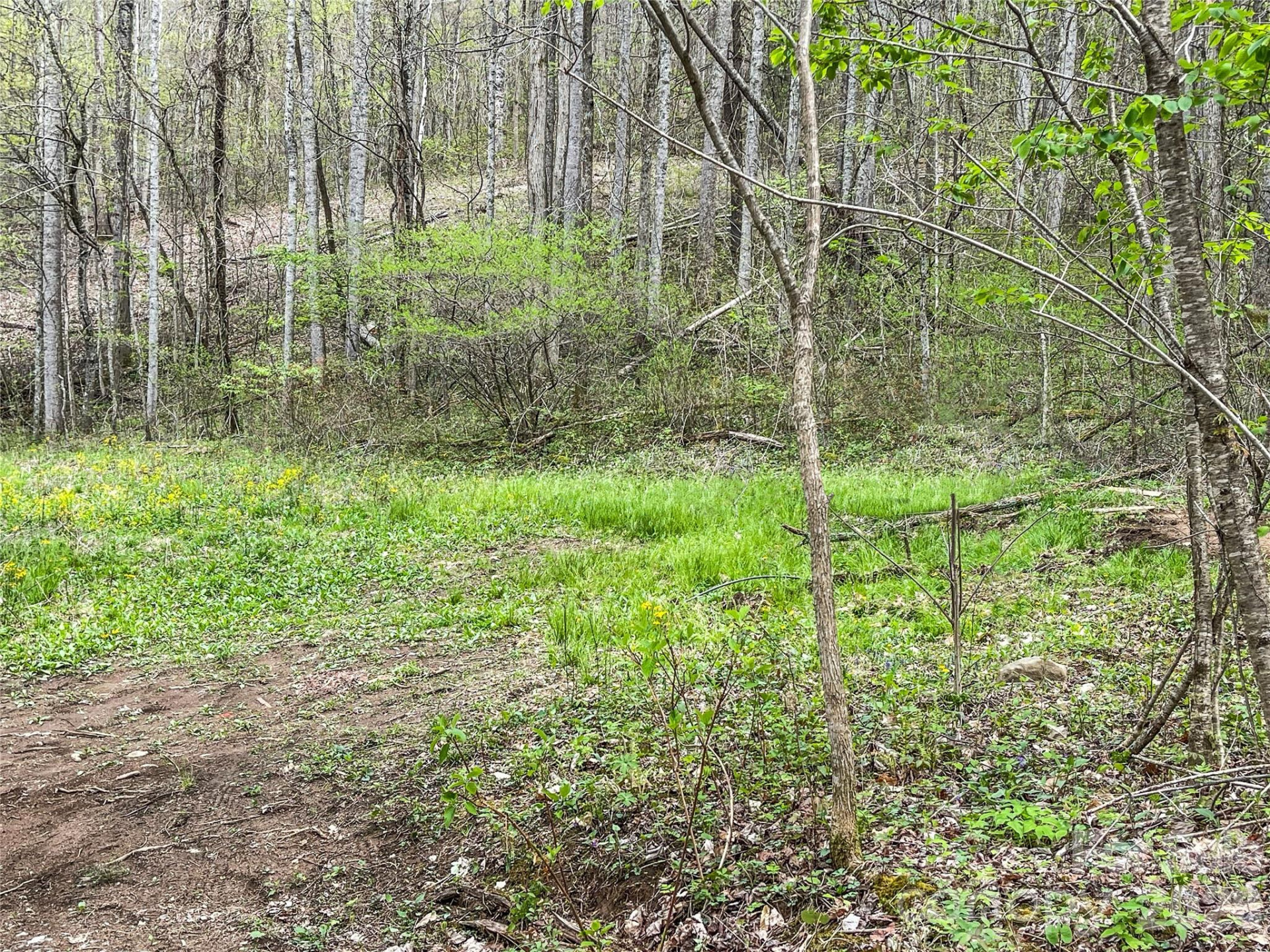 130 Gavin Glenn Road - Photo 5