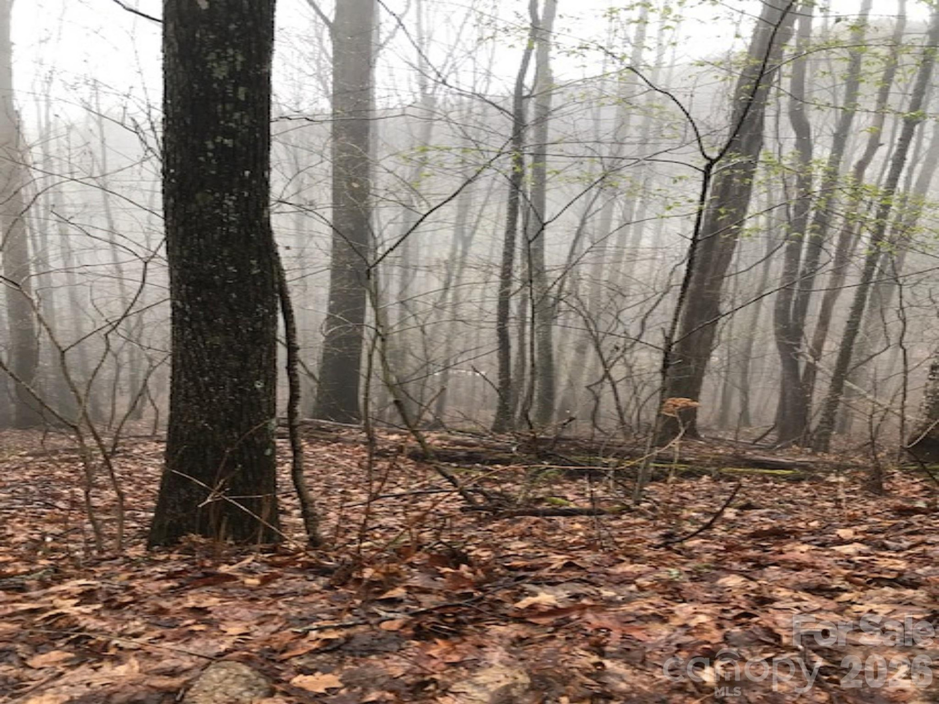 130 Gavin Glenn Road - Photo 6