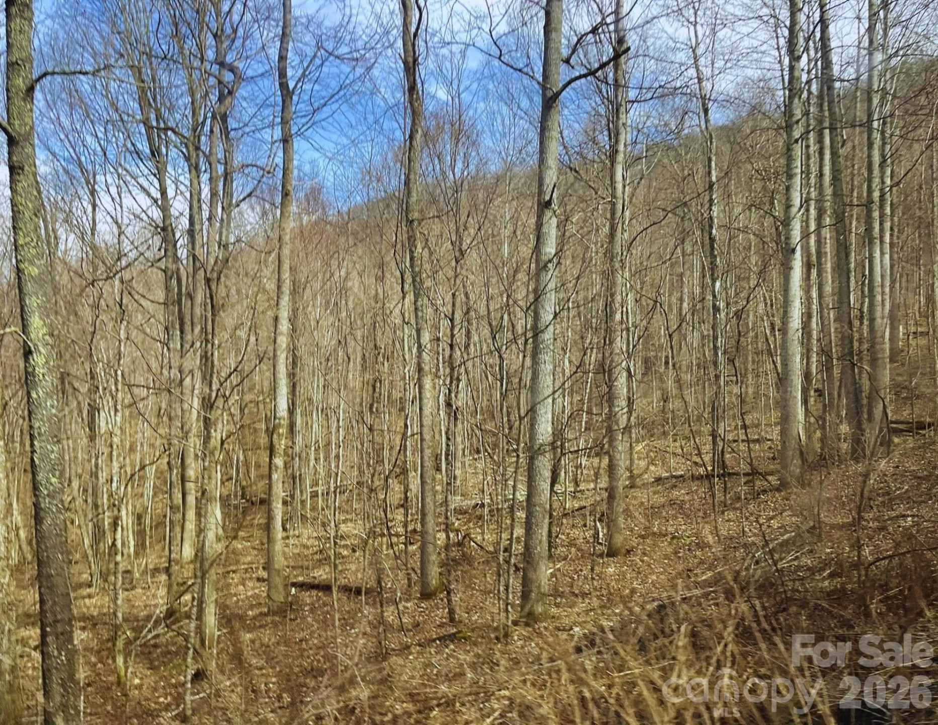 130 Gavin Glenn Road - Photo 7