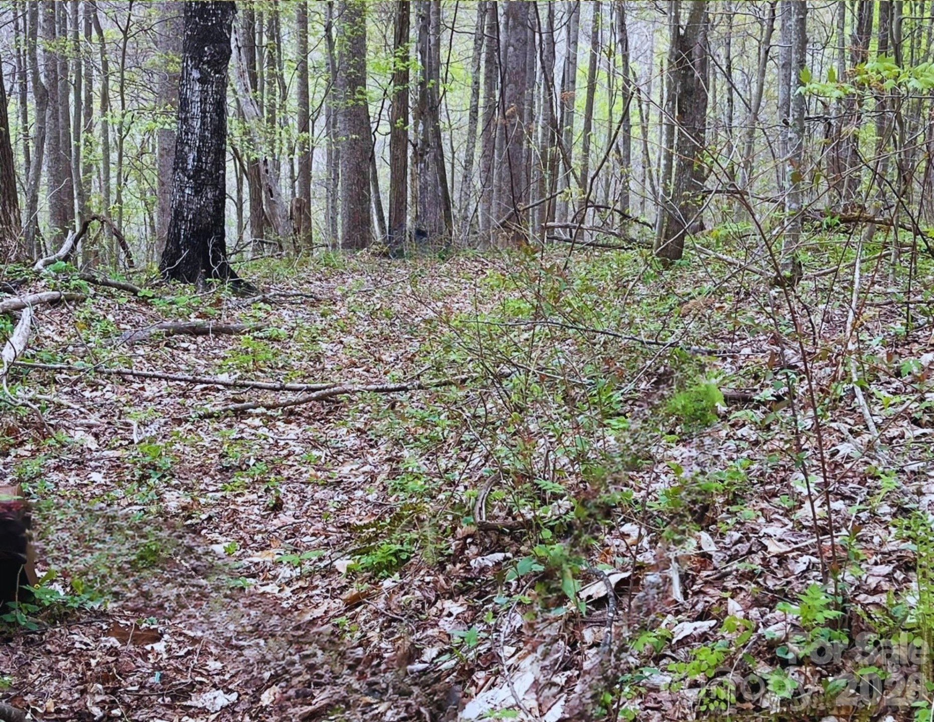 130 Gavin Glenn Road - Photo 9