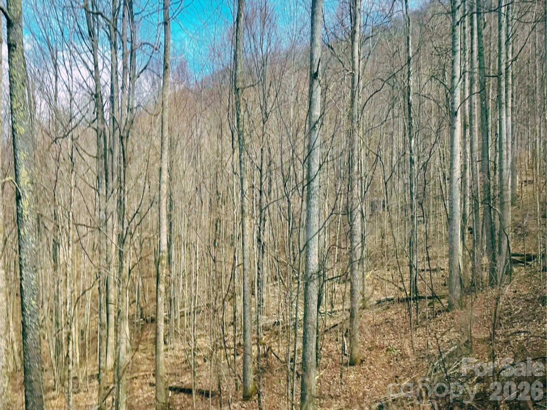 130 Gavin Glenn Road - Photo 10