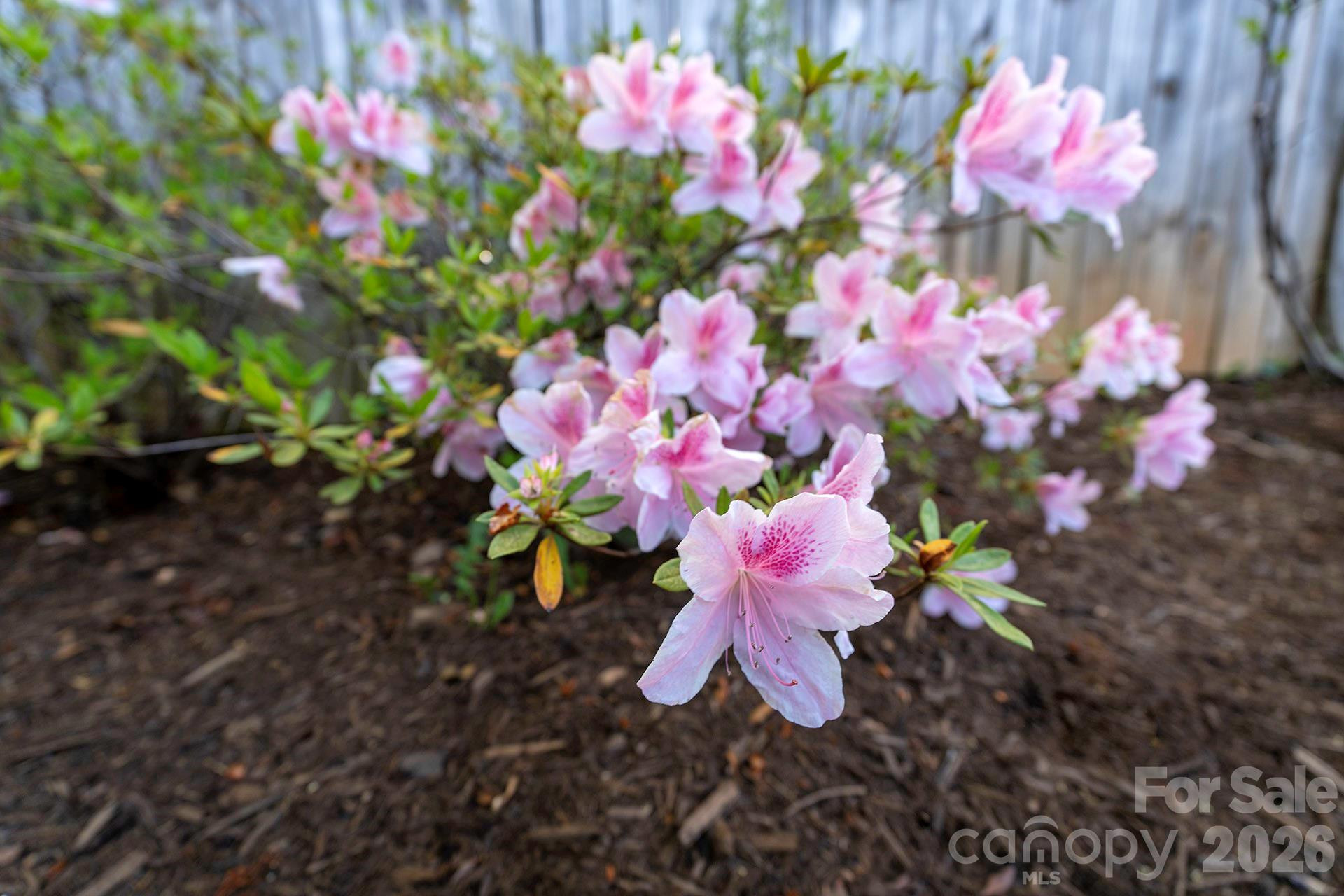 34 Oakley Road - Photo 11