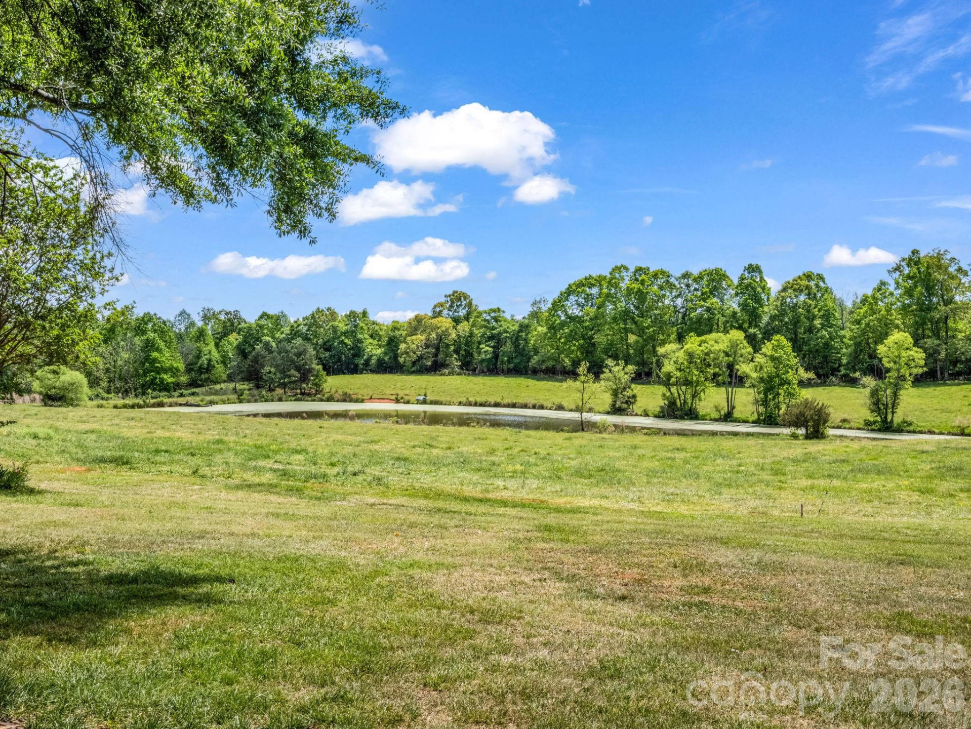 1185 Race Path Church Road - Photo 13