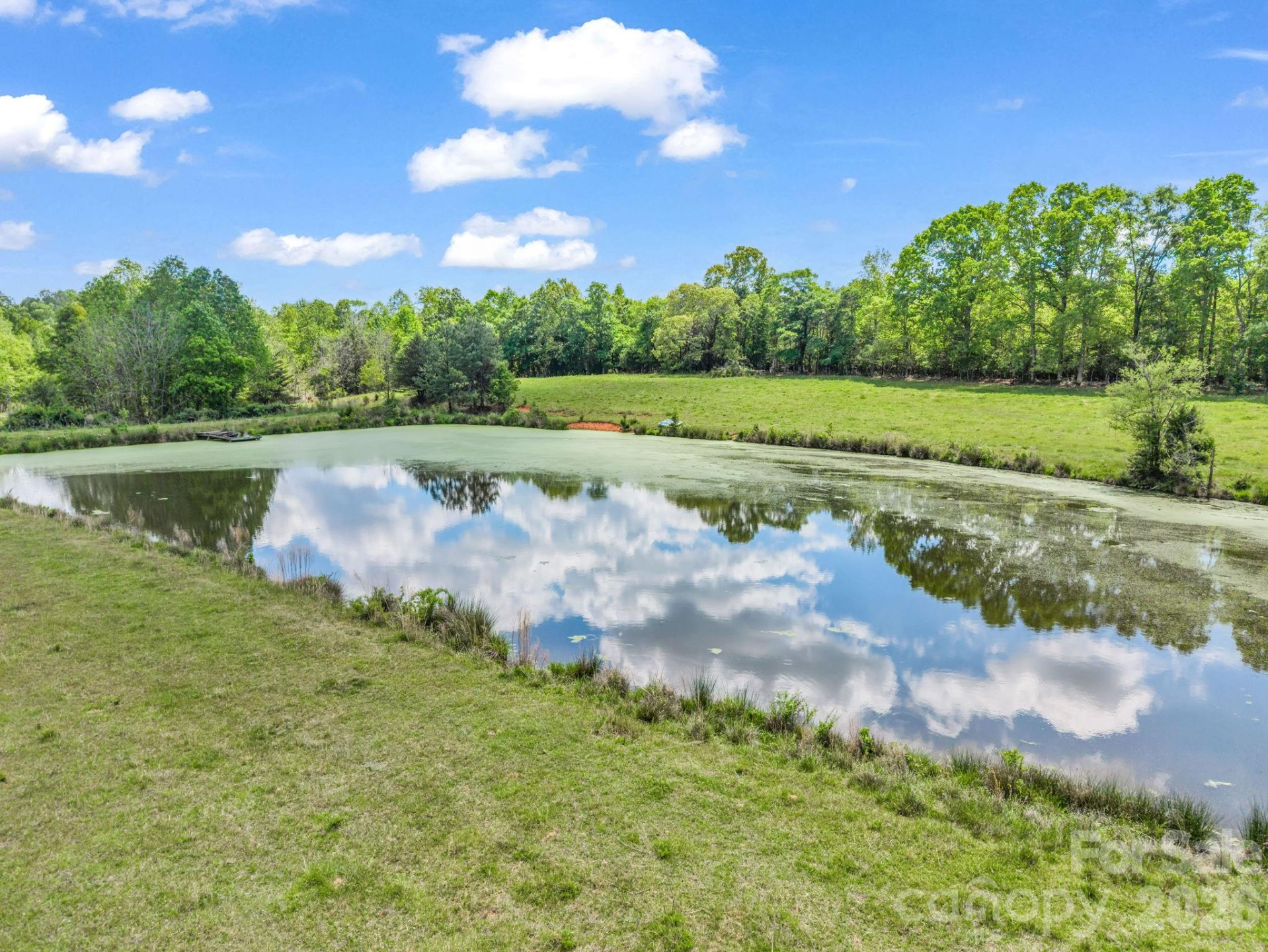 1185 Race Path Church Road - Photo 5