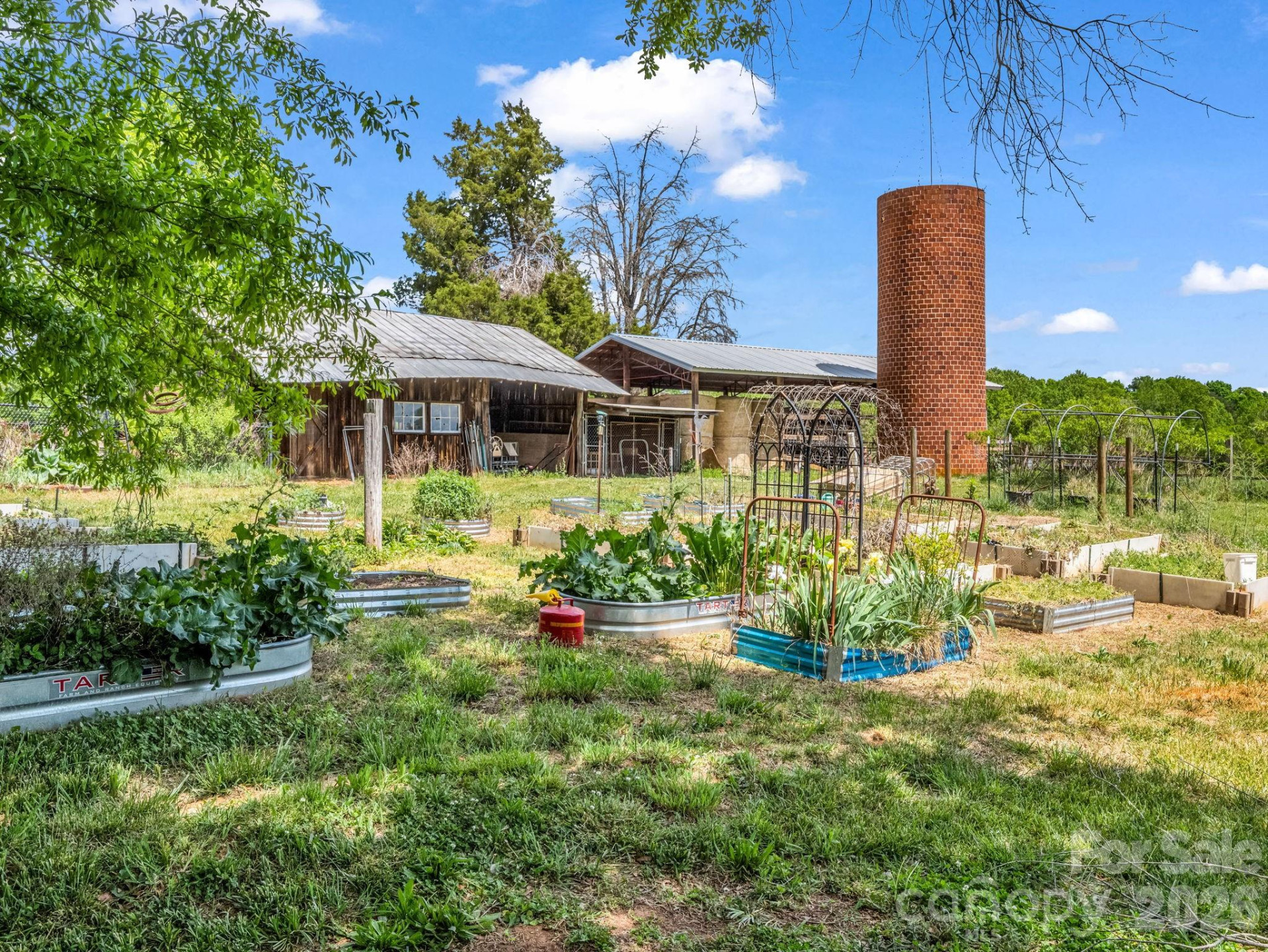 1185 Race Path Church Road - Photo 10