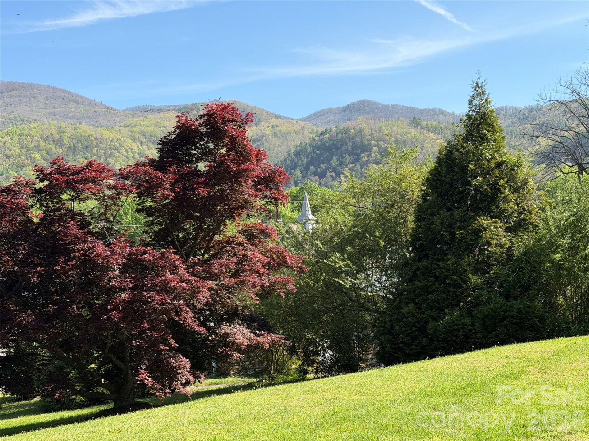 29 Walnut Street - Photo 4