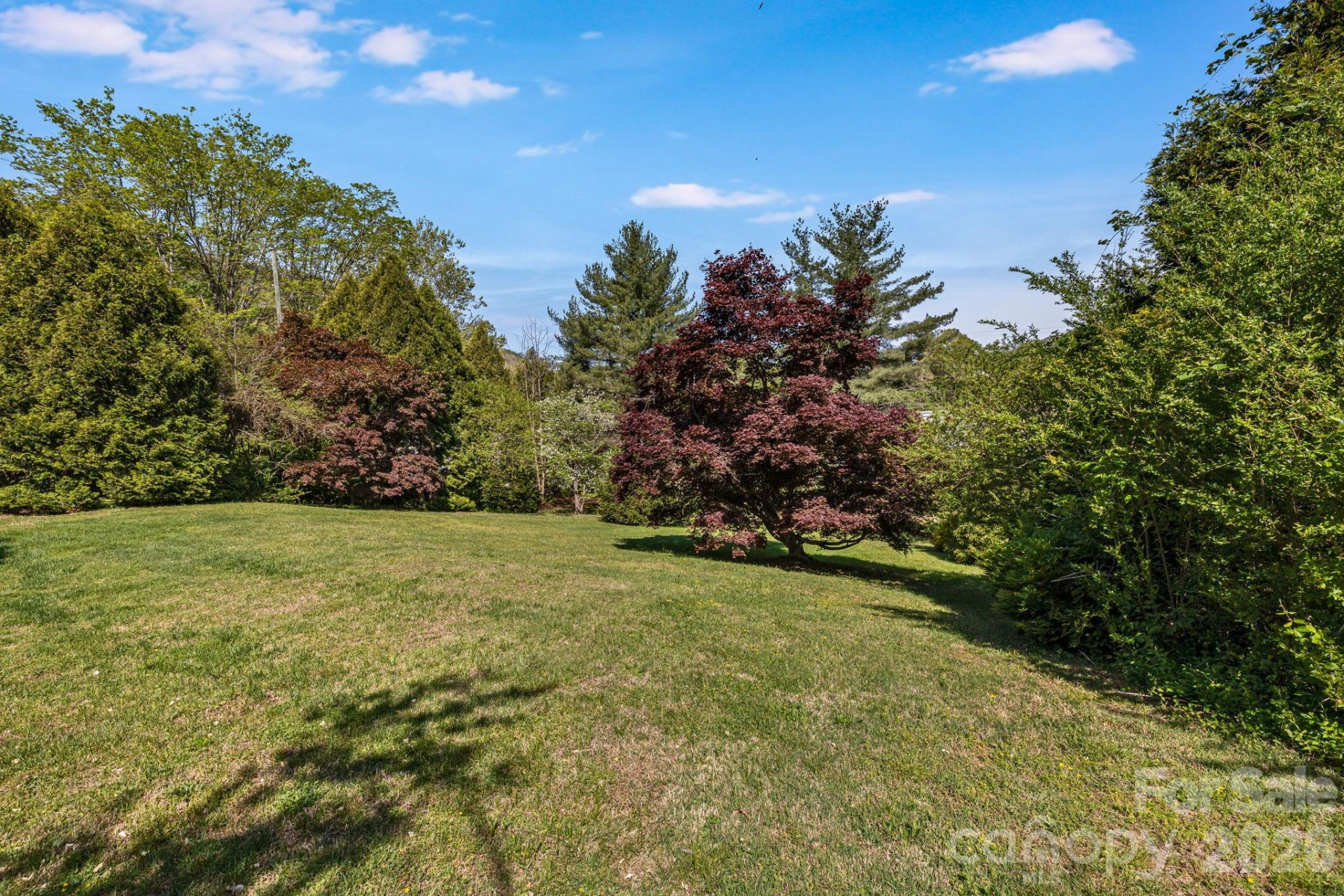 29 Walnut Street - Photo 41