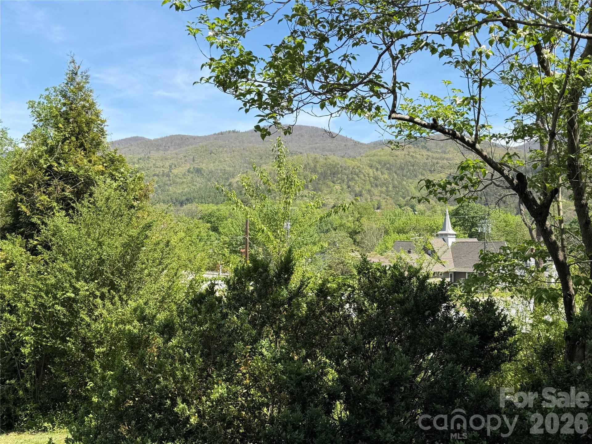 29 Walnut Street - Photo 43