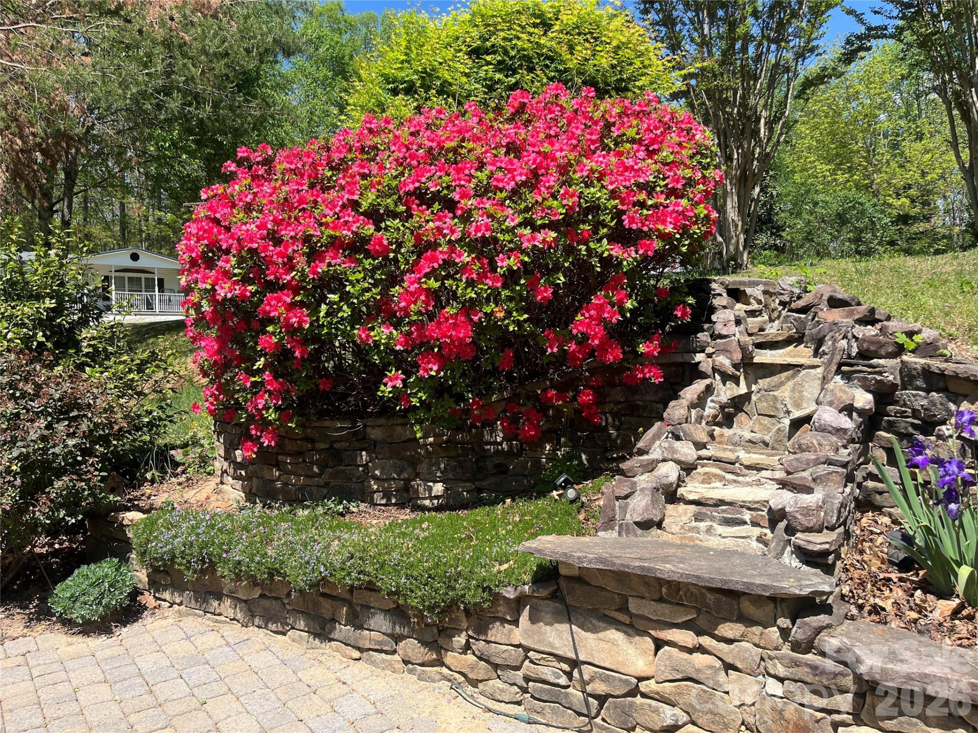 341 Sunrise Ridge Drive - Photo 2