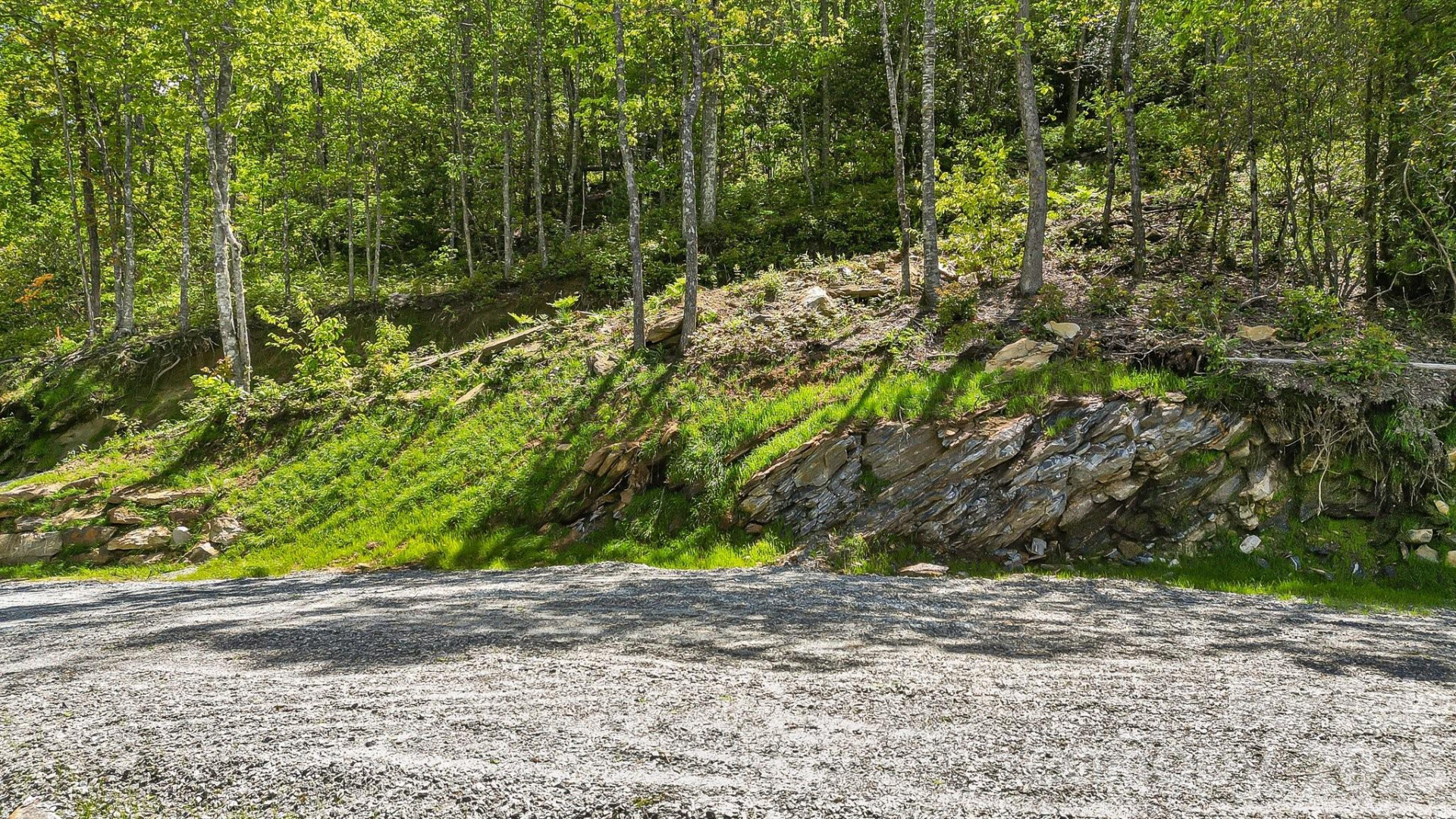 Lt 5B, 15A, 15B Von Trapp Lane #5B, 15A, 15B - Photo 12