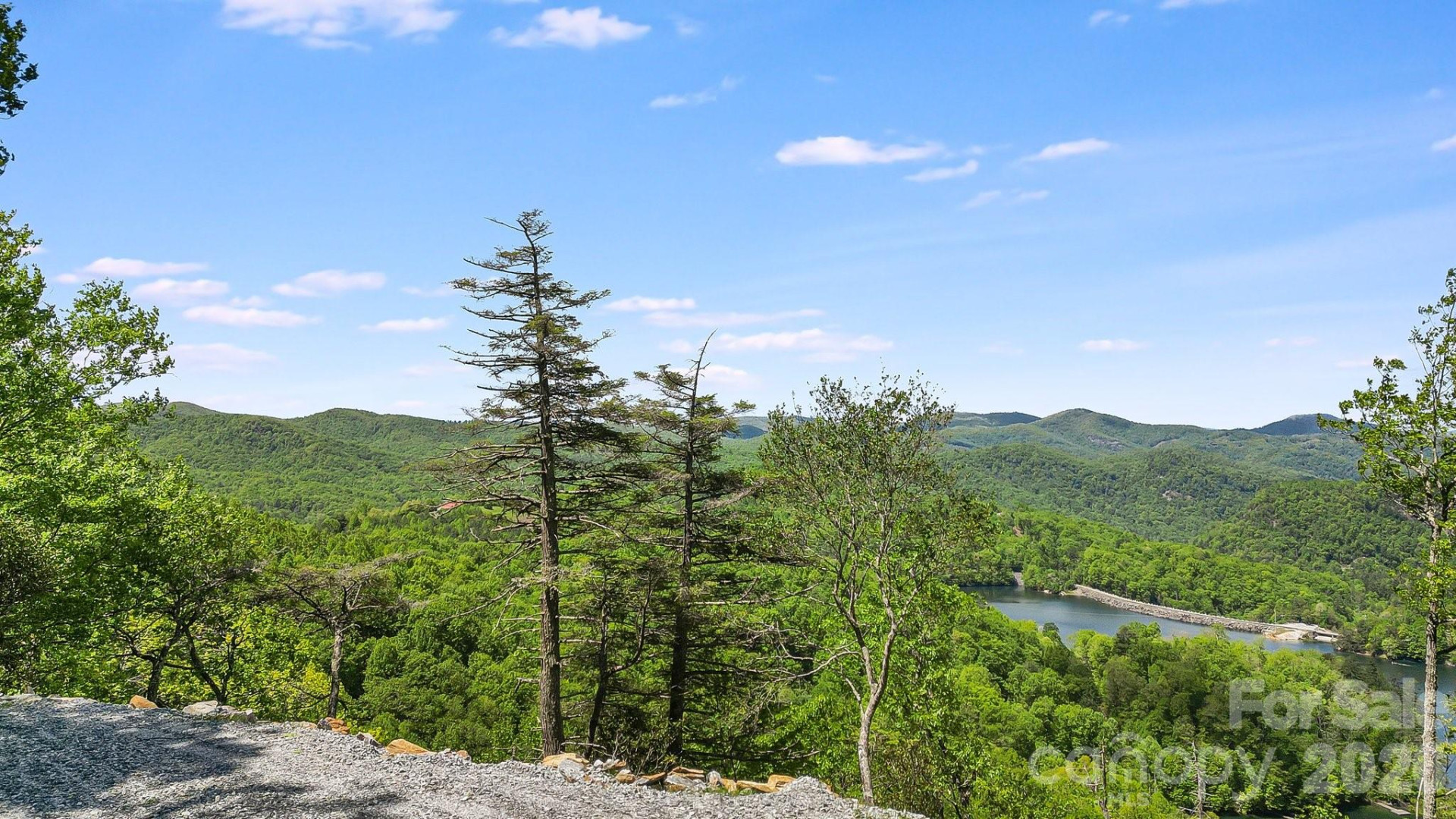 Lt 5B, 15A, 15B Von Trapp Lane #5B, 15A, 15B - Photo 13