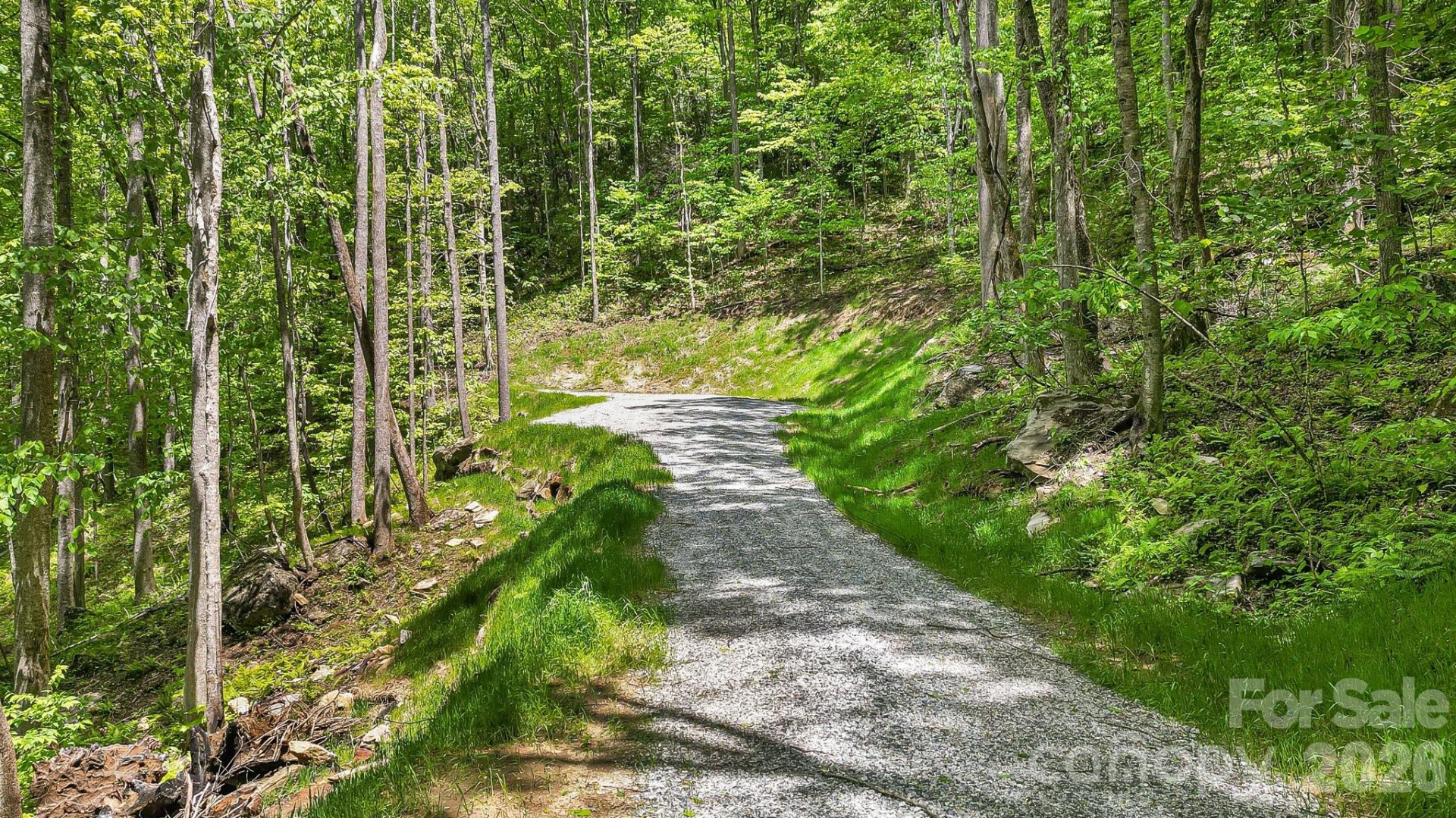 Lt 5B, 15A, 15B Von Trapp Lane #5B, 15A, 15B - Photo 16