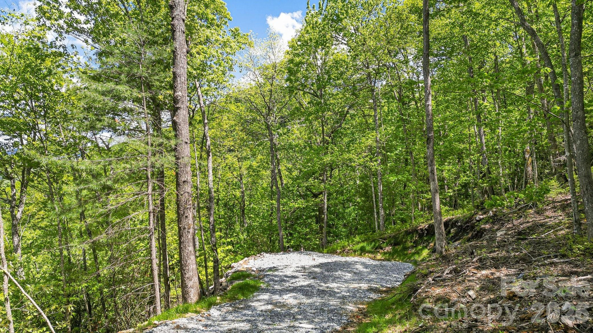 Lt 5B, 15A, 15B Von Trapp Lane #5B, 15A, 15B - Photo 18