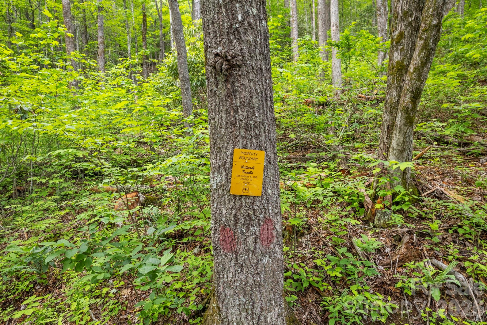 Lt 5B, 15A, 15B Von Trapp Lane #5B, 15A, 15B - Photo 28