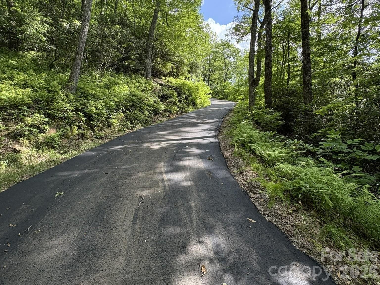 Lt 5B, 15A, 15B Von Trapp Lane #5B, 15A, 15B - Photo 8