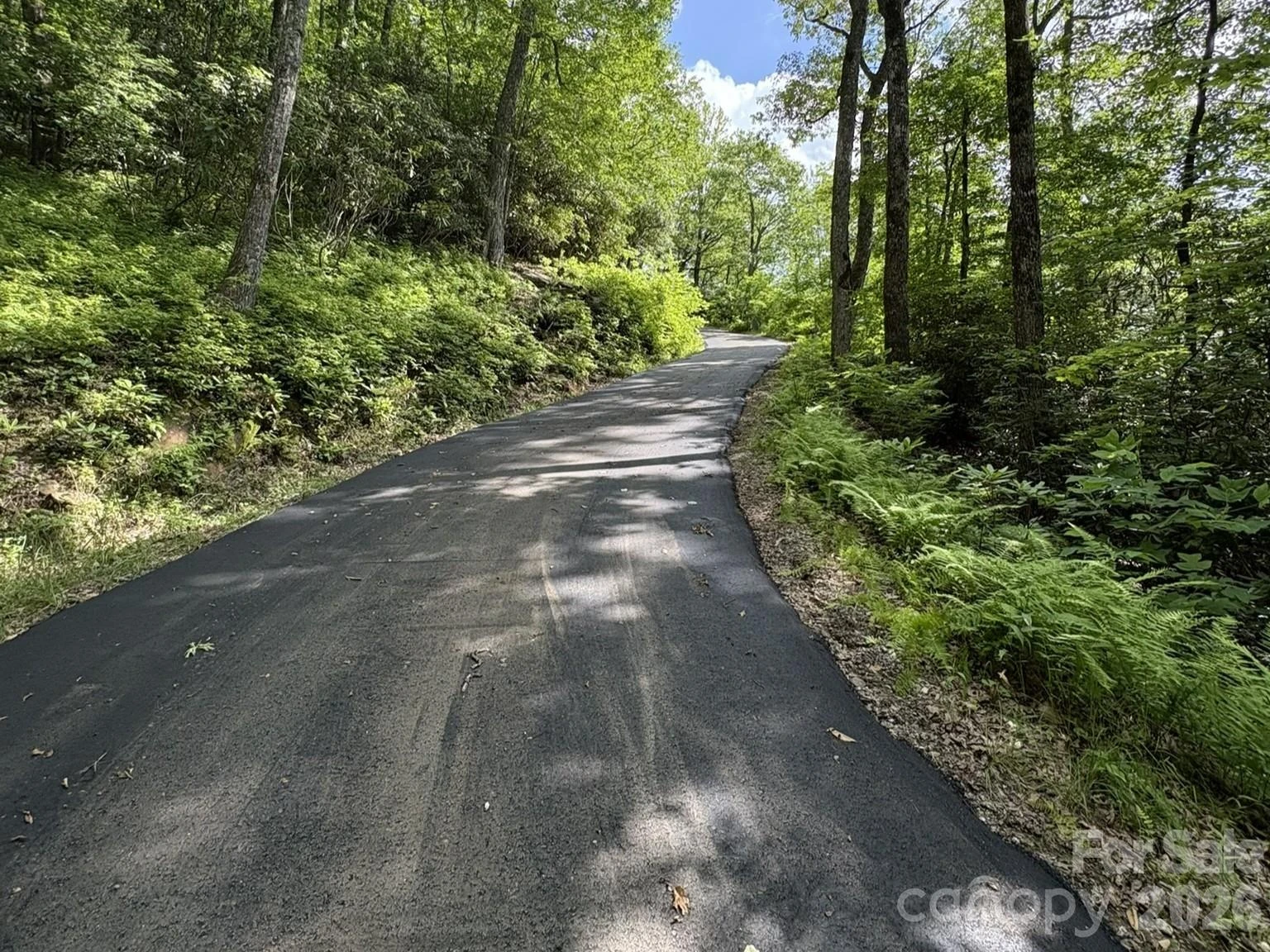 Lt 5B, 15A, 15B Von Trapp Lane #5B, 15A, 15B - Photo 8