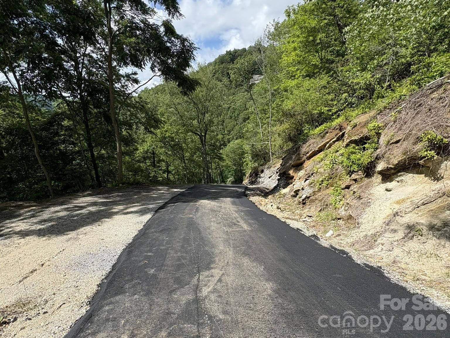 Lt 5B, 15A, 15B Von Trapp Lane #5B, 15A, 15B - Photo 10