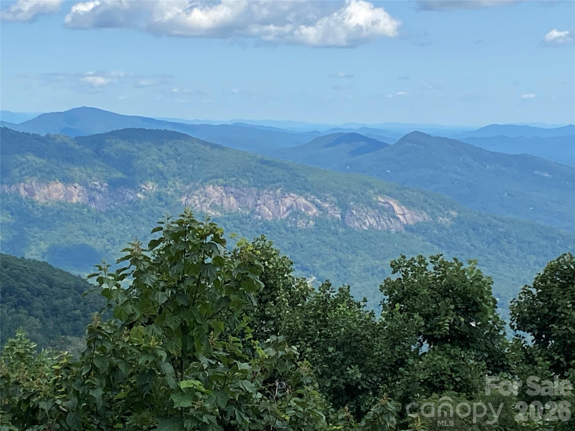 1170 Gabe Laugher Road - Photo 3