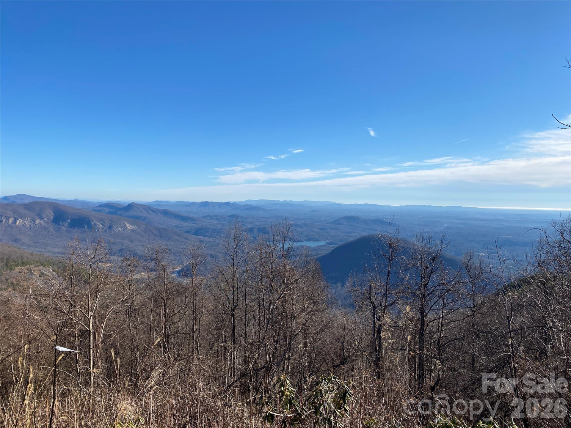 1170 Gabe Laugher Road - Photo 5