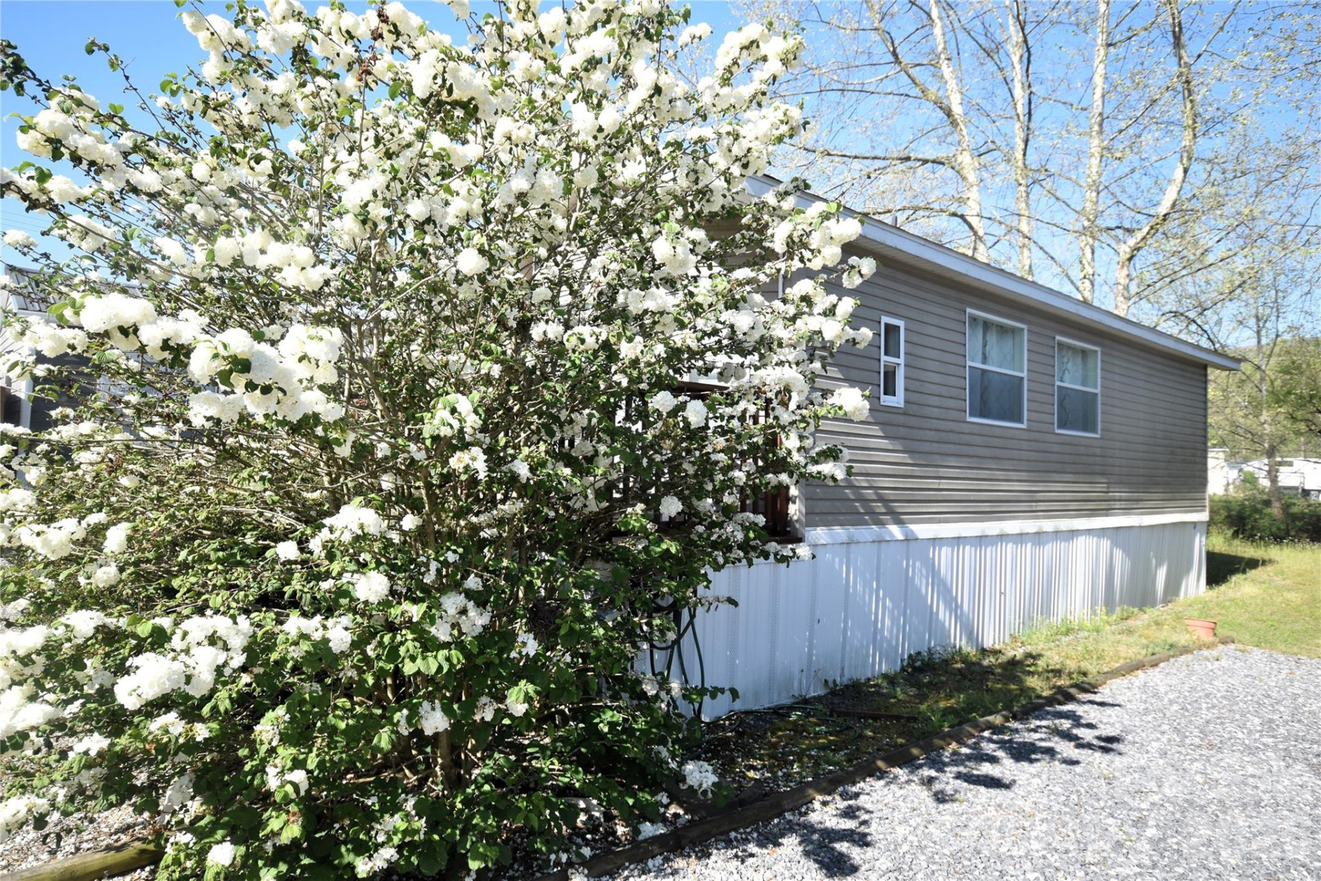 124 Pike Point - Photo 3