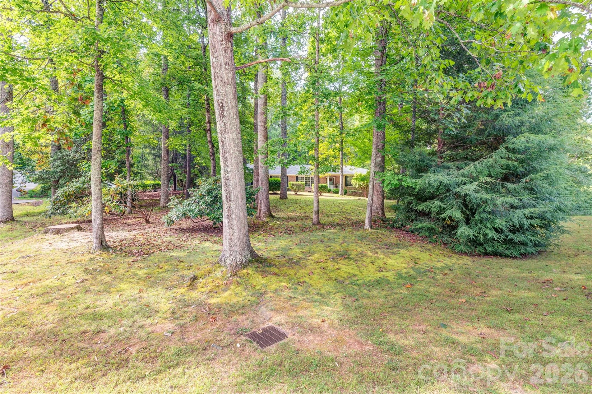 3 Sunningdale Drive - Photo 26