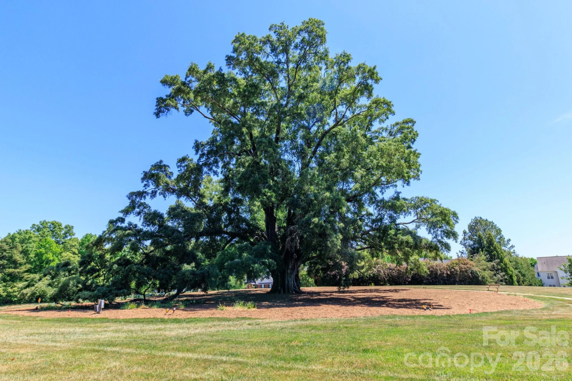 10011 King George Lane - Photo 45