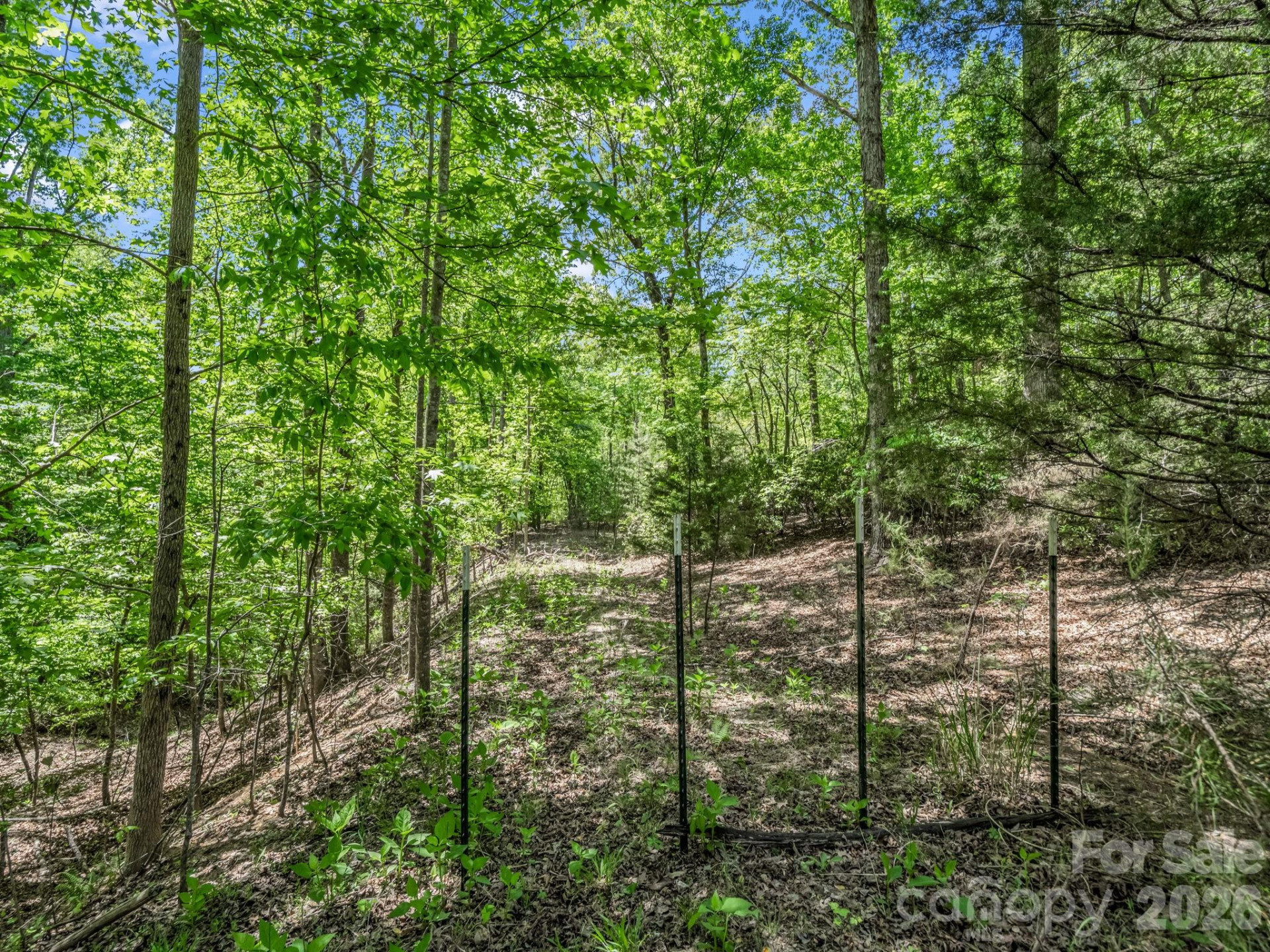 206 Westmoreland Trail #8