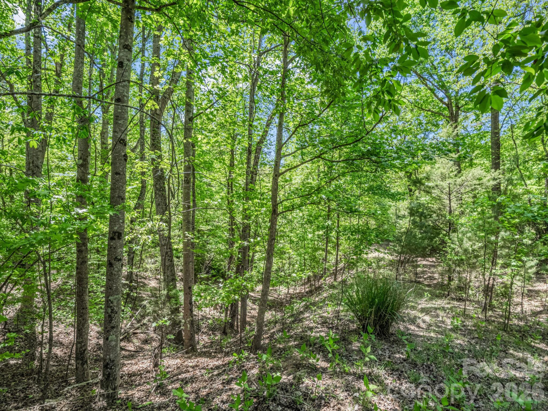 206 Westmoreland Trail #8 - Photo 2