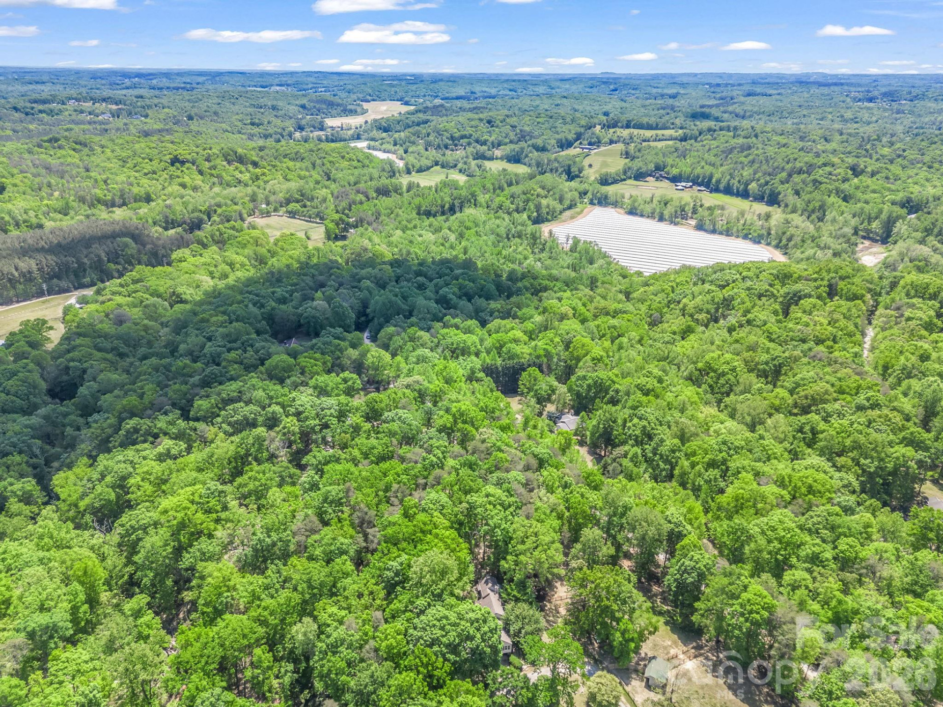 206 Westmoreland Trail #8 - Photo 12