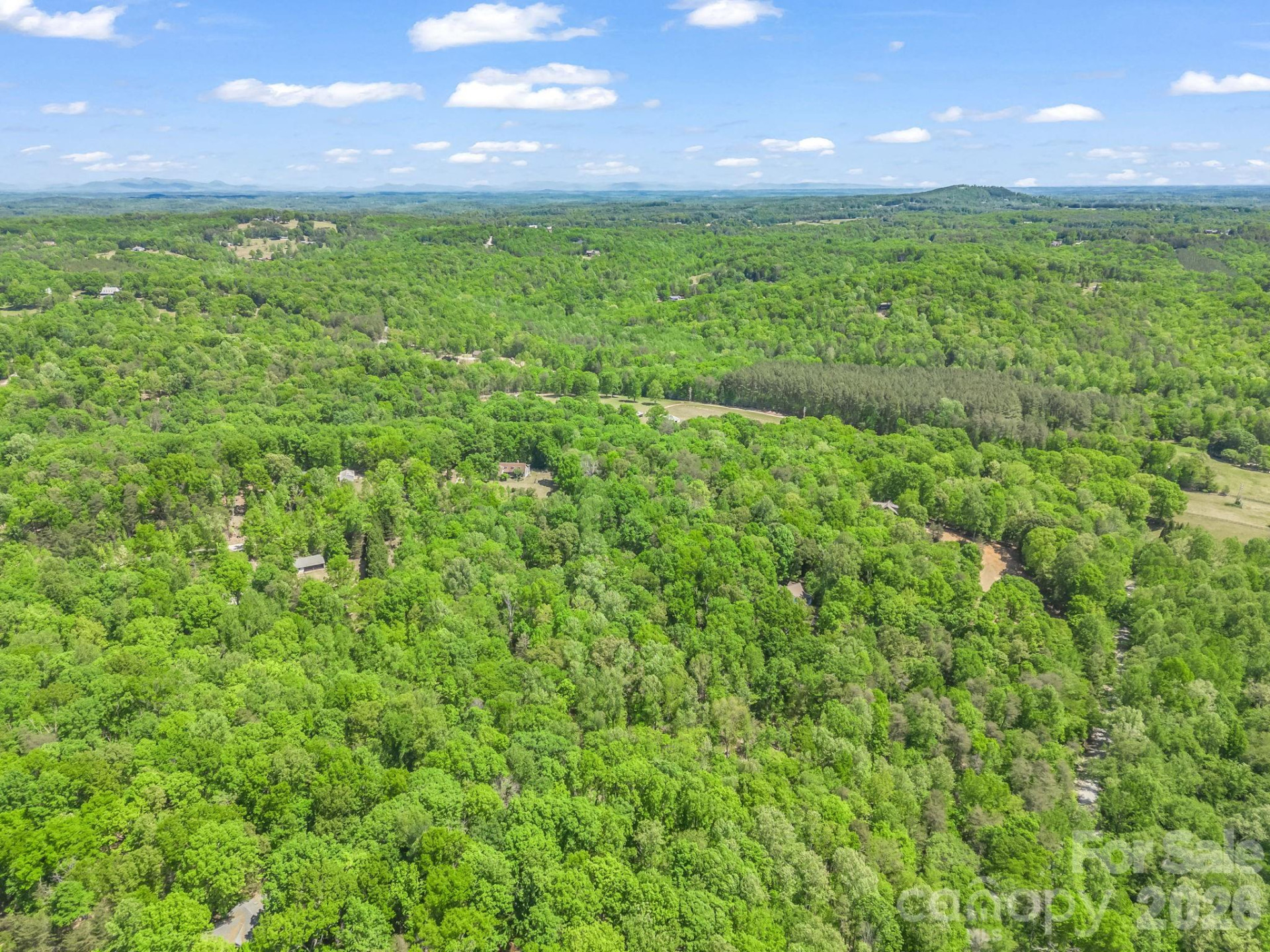 206 Westmoreland Trail #8 - Photo 13