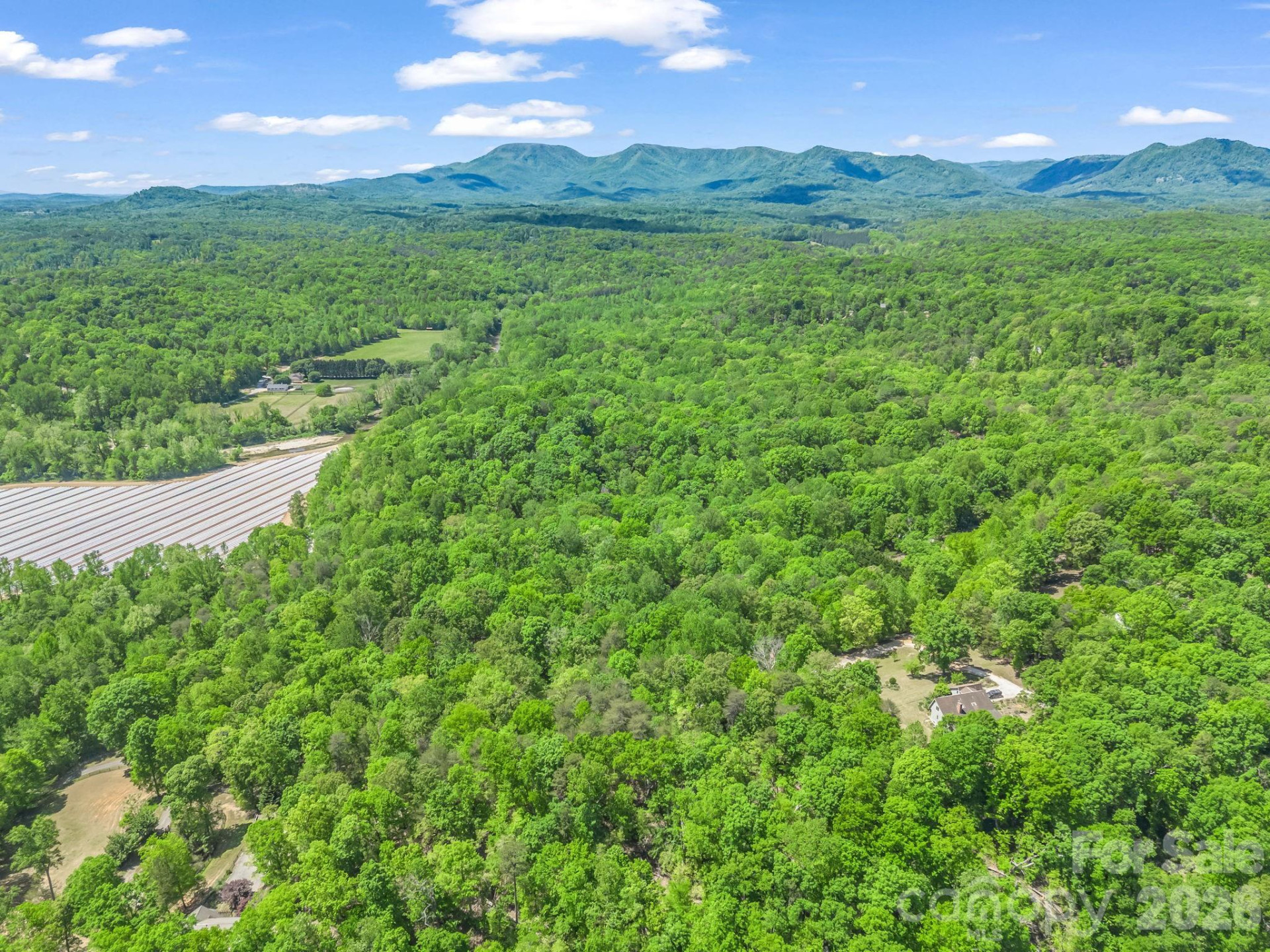 206 Westmoreland Trail #8 - Photo 14