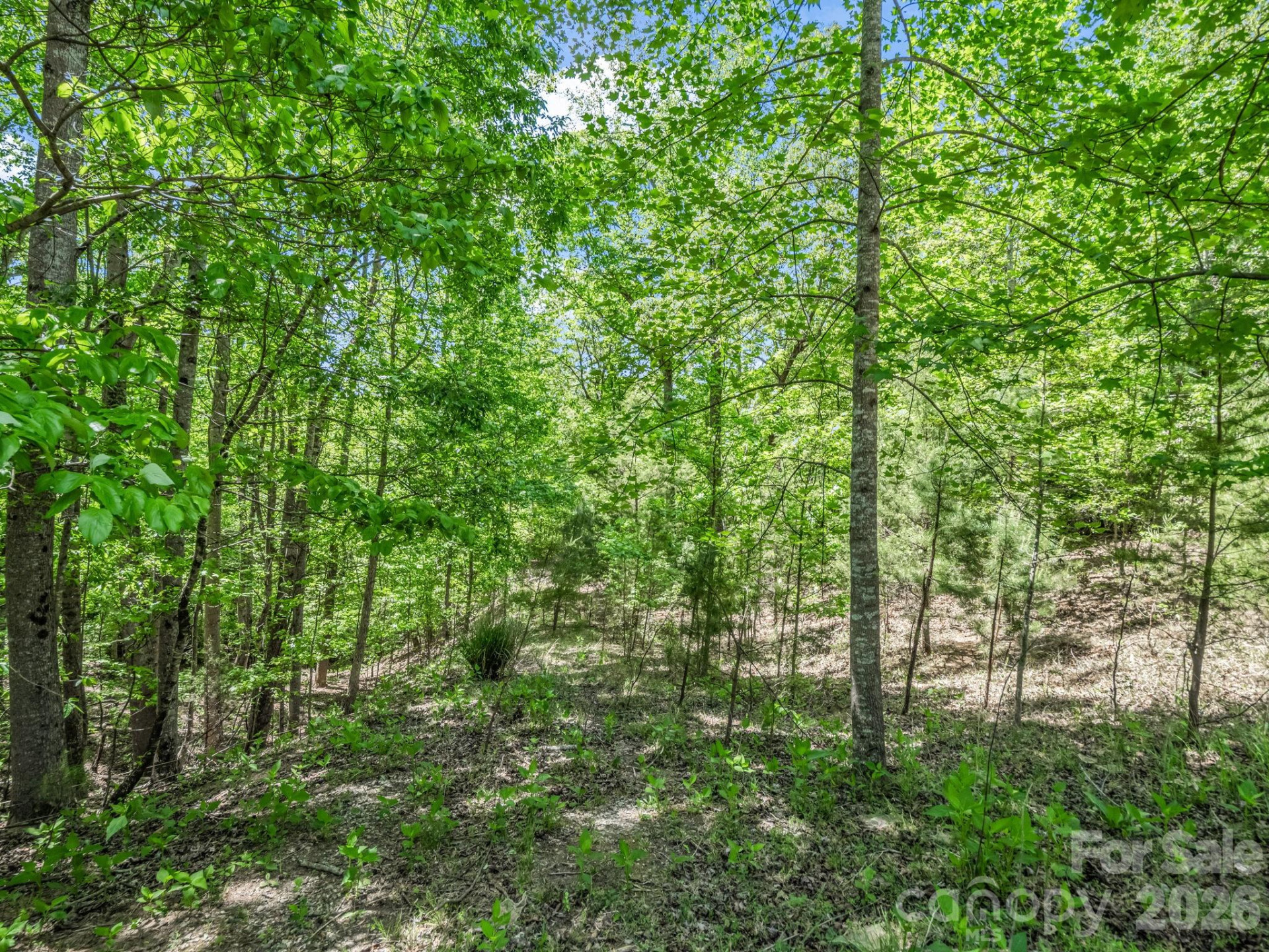 206 Westmoreland Trail #8 - Photo 3