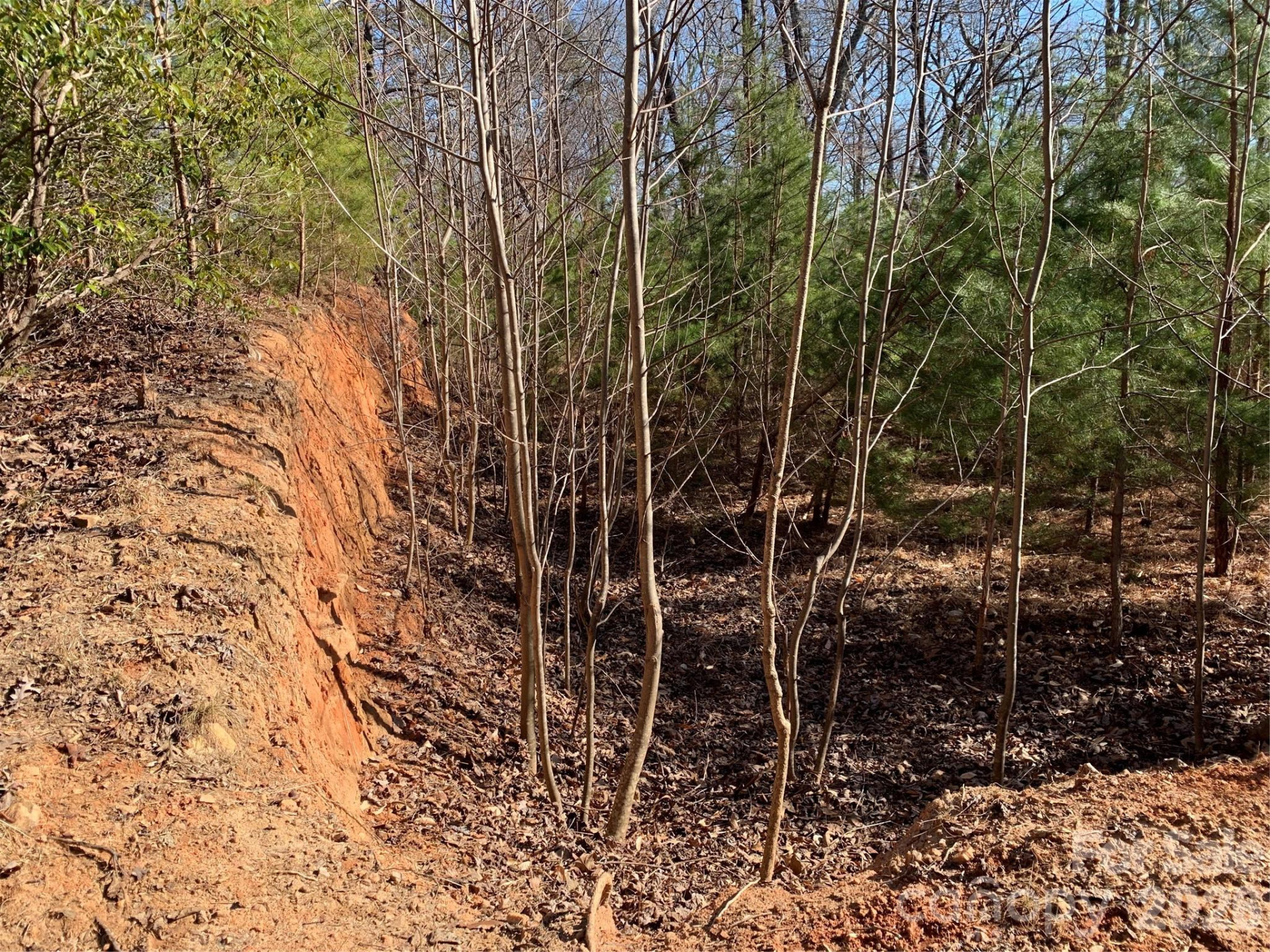 206 Westmoreland Trail #8 - Photo 4