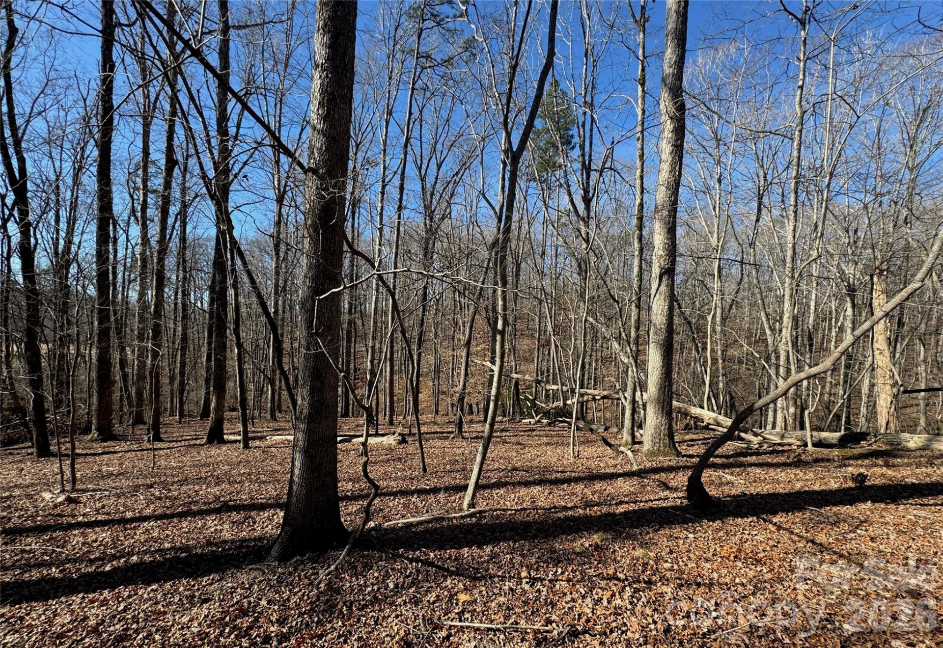 206 Westmoreland Trail #8 - Photo 5