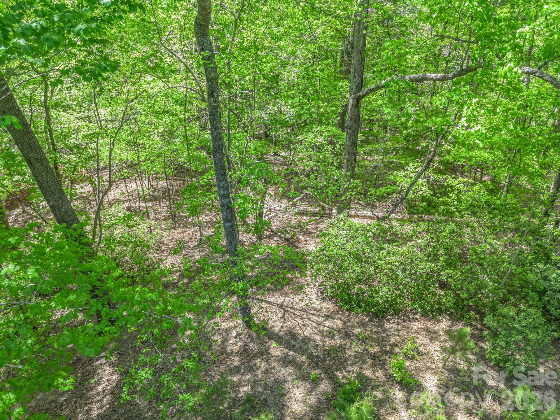 206 Westmoreland Trail #8 - Photo 6