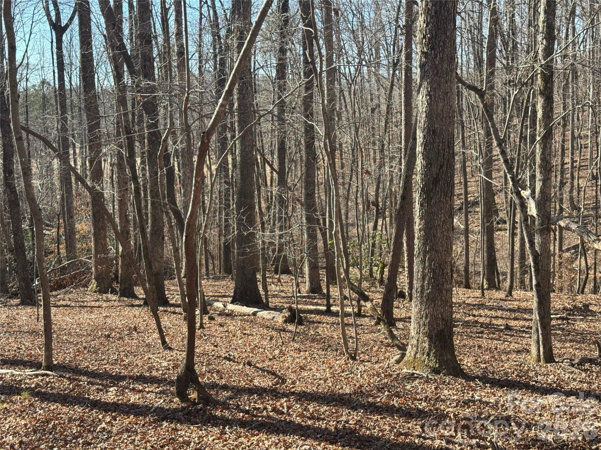 206 Westmoreland Trail #8 - Photo 7