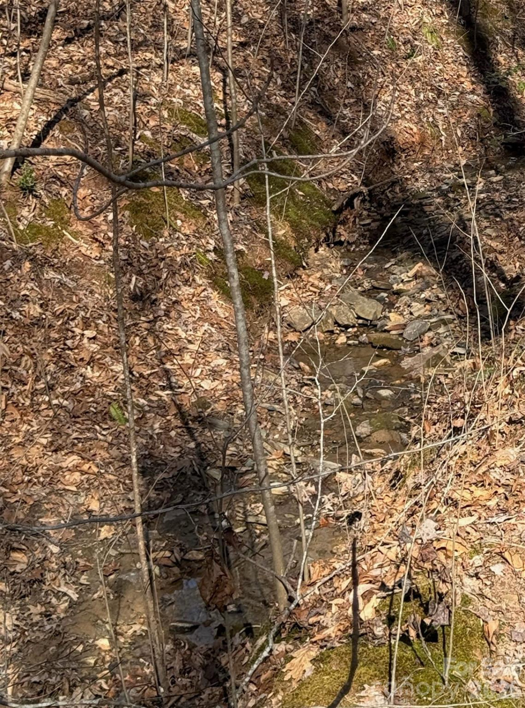 206 Westmoreland Trail #8 - Photo 8