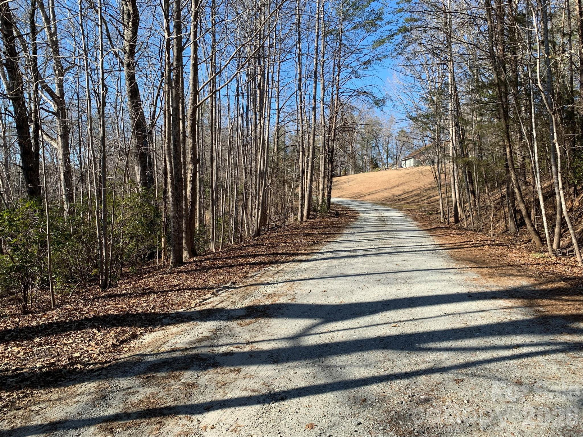 206 Westmoreland Trail #8 - Photo 9