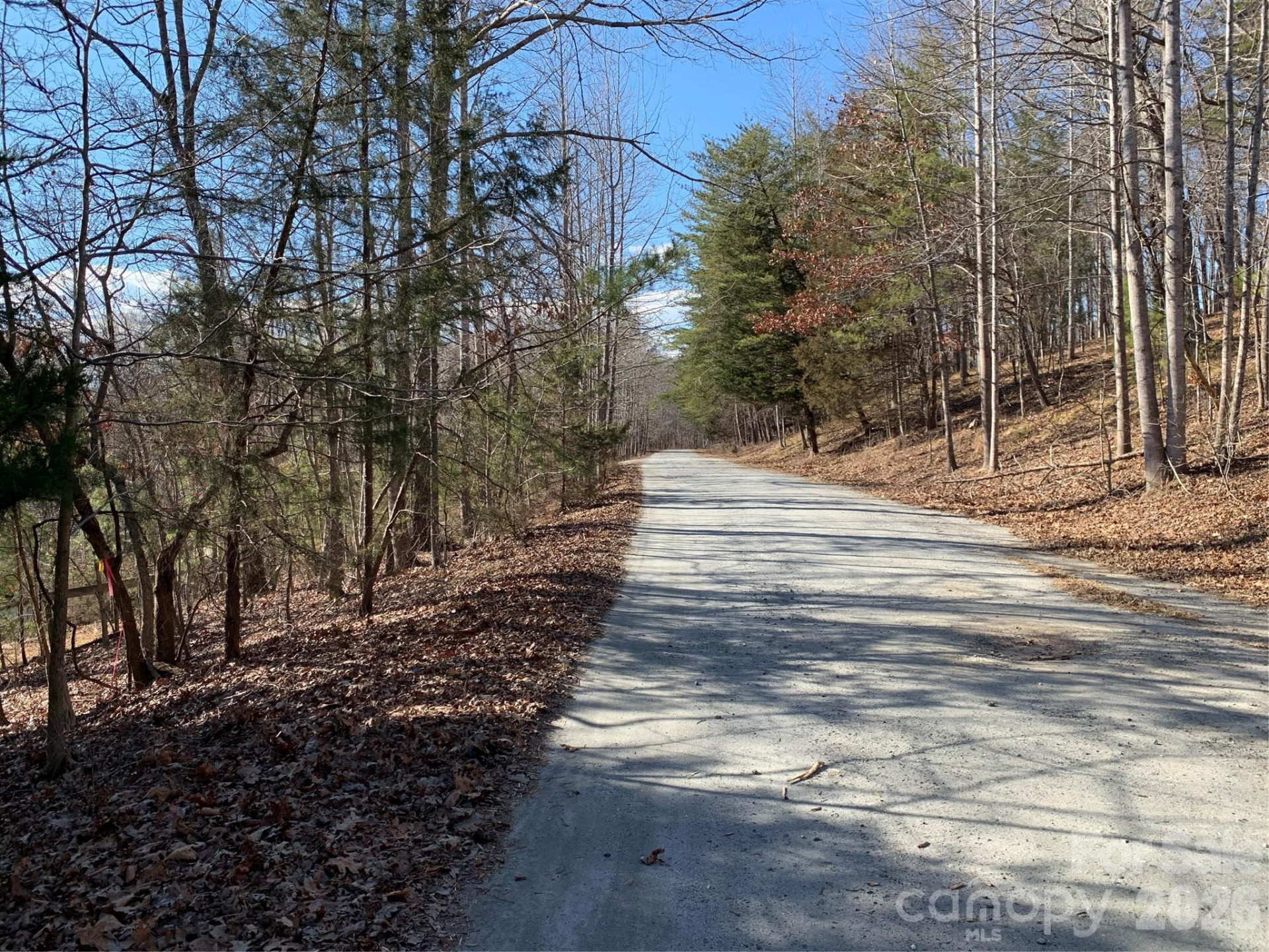 206 Westmoreland Trail #8 - Photo 10