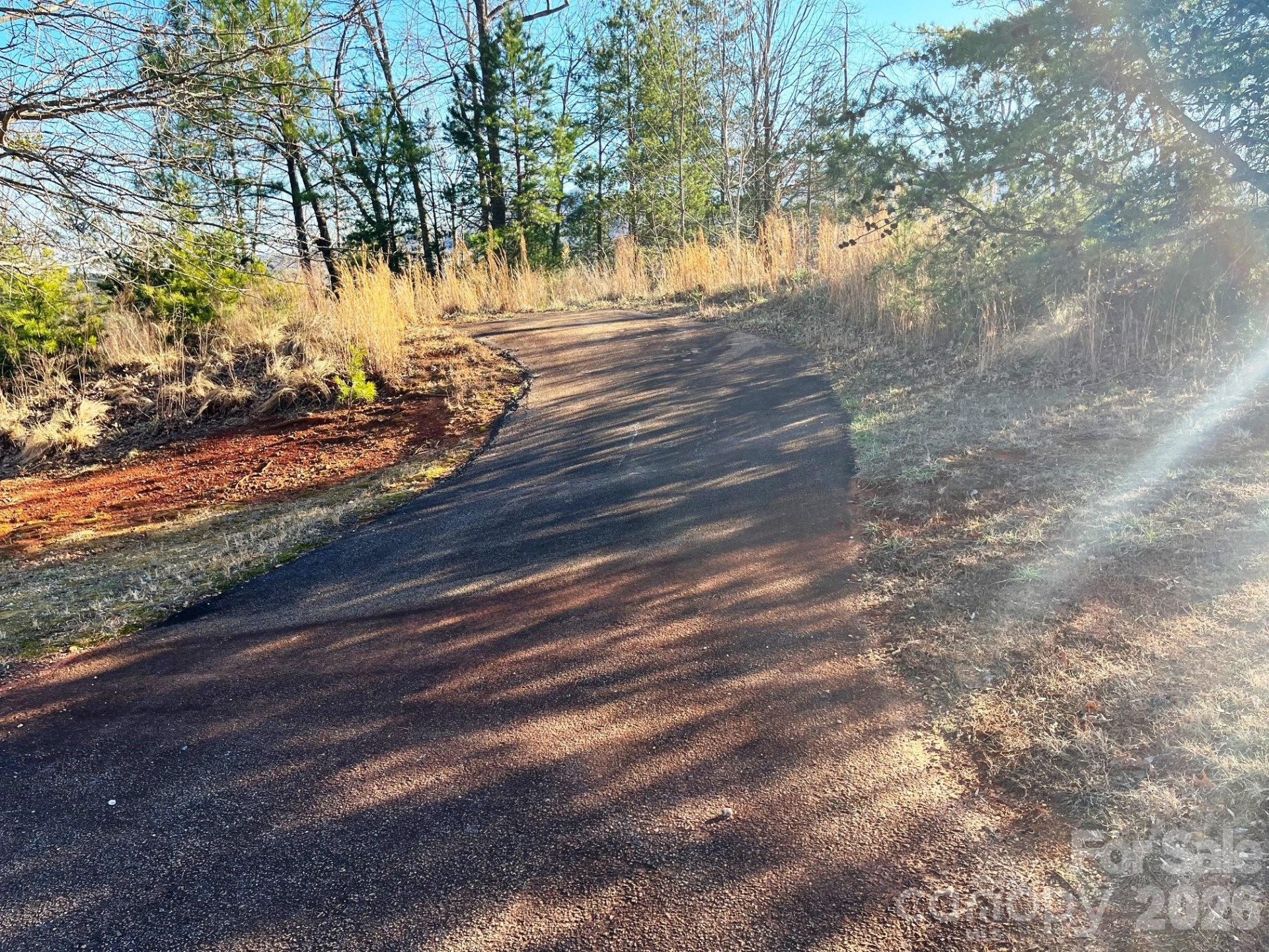 Lot 30 Mountain Parkway - Photo 3