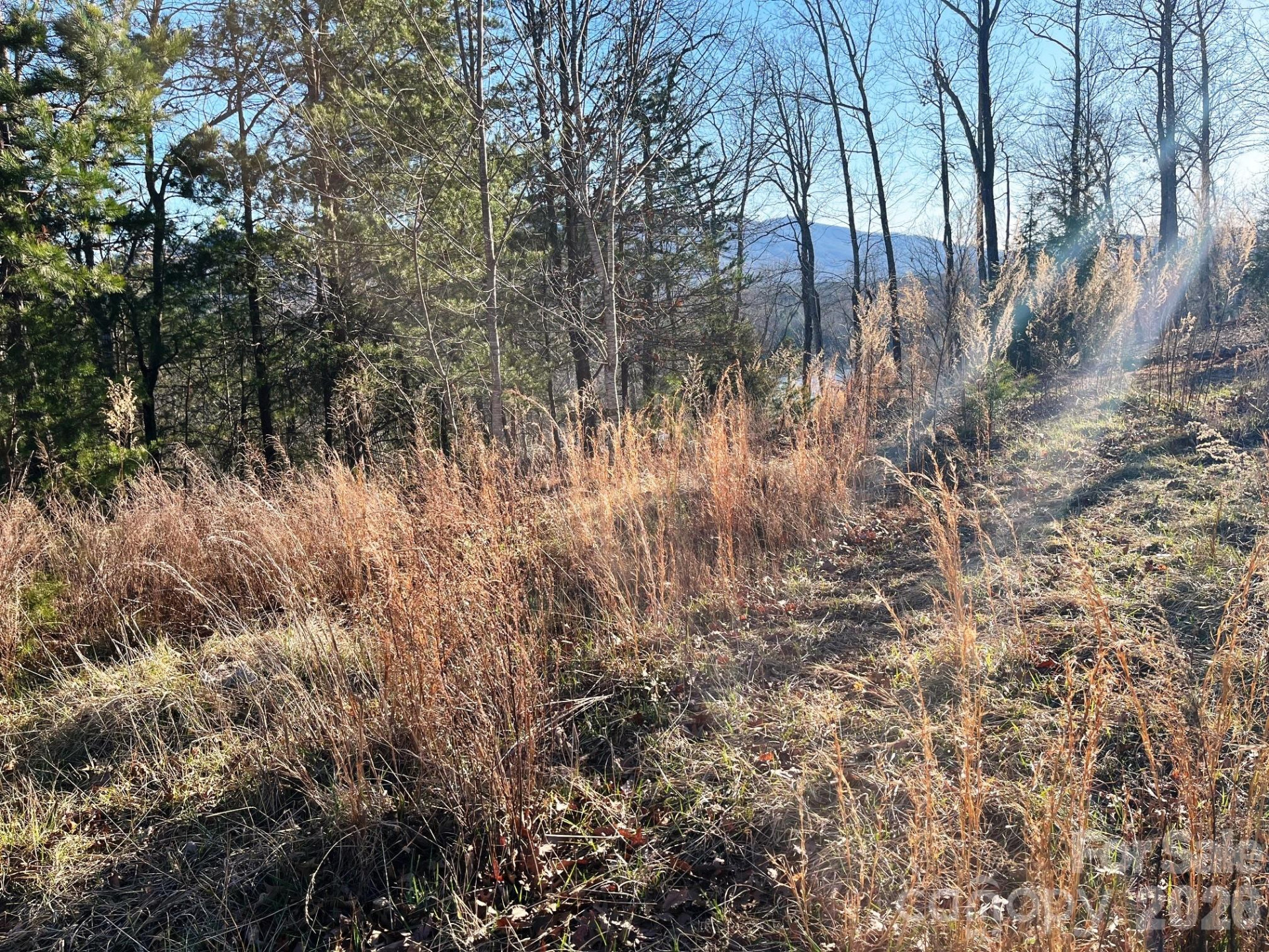 Lot 30 Mountain Parkway - Photo 5