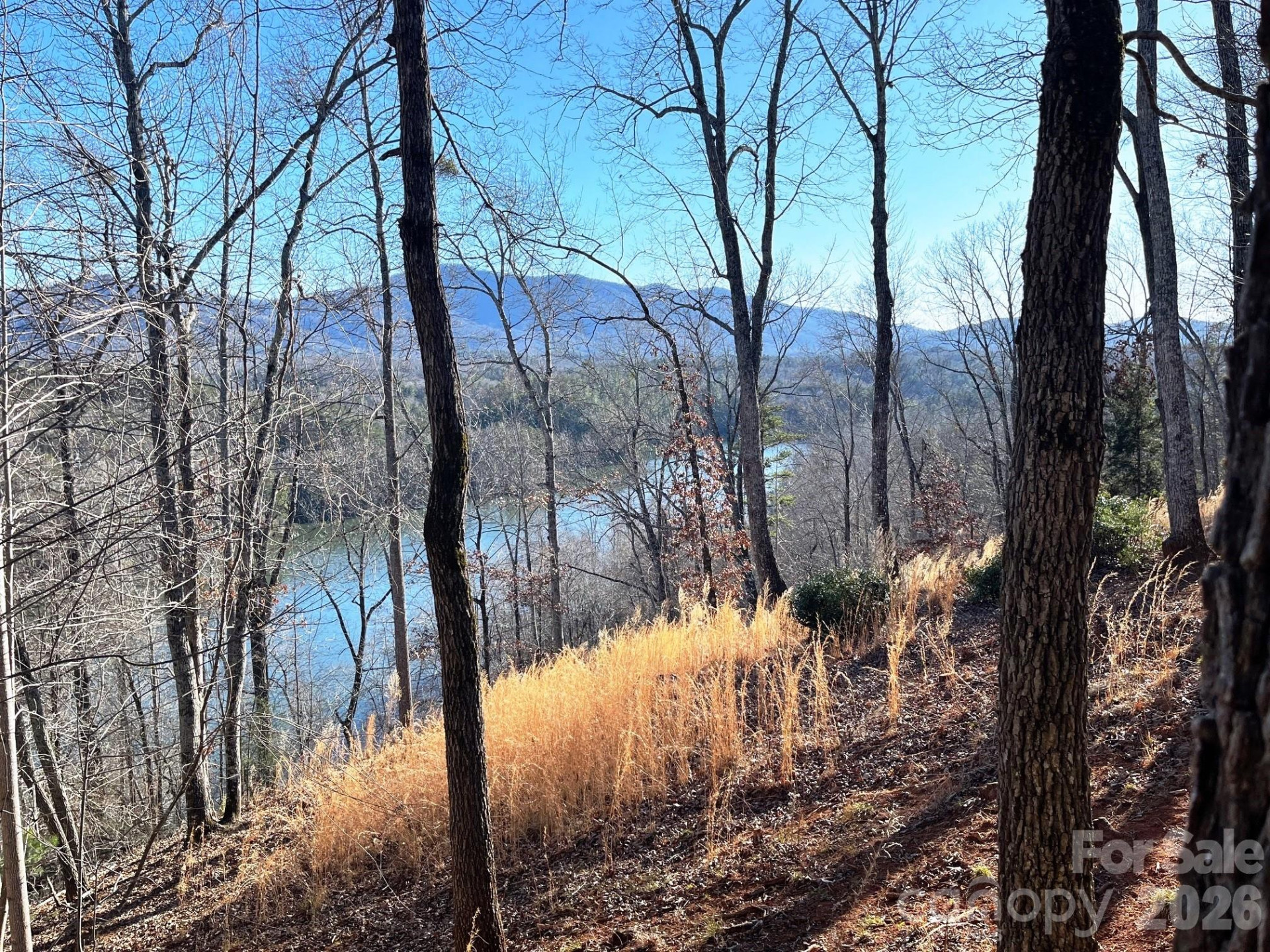 Lot 30 Mountain Parkway - Photo 6