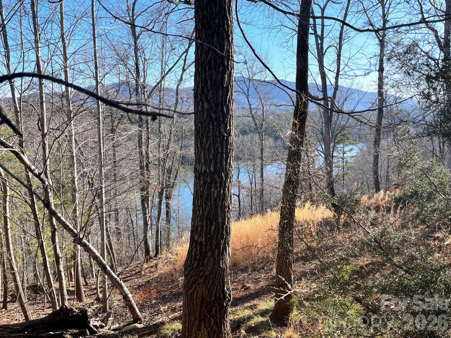 Lot 30 Mountain Parkway - Photo 7