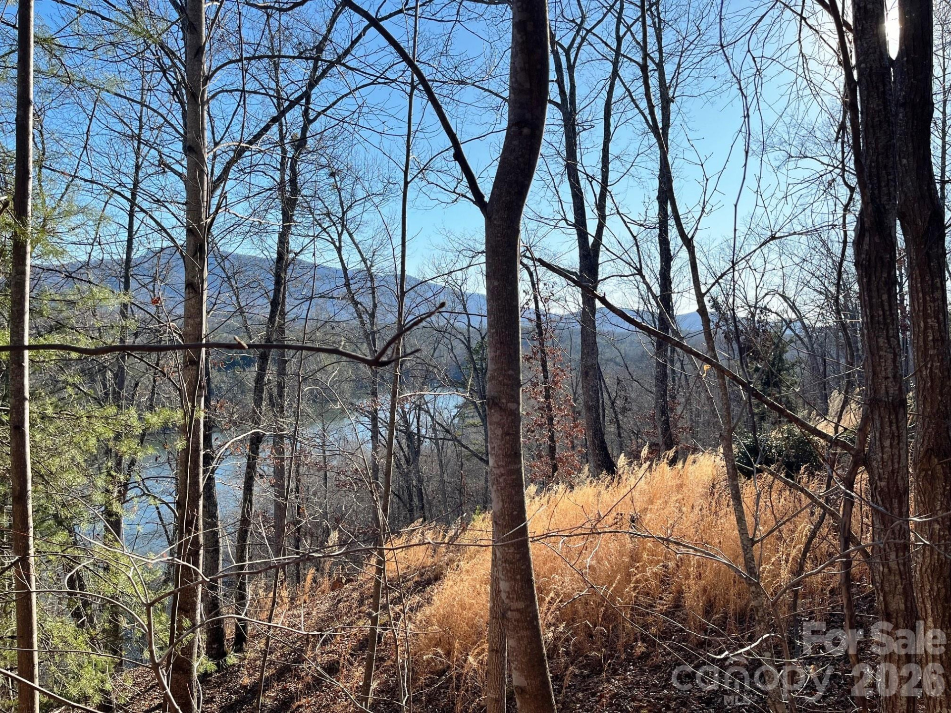 Lot 30 Mountain Parkway - Photo 8