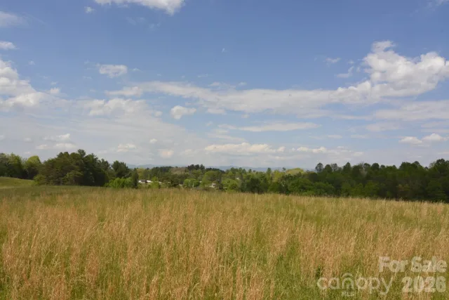 16 Rocking Chair Lane, Leicester, NC, 28748