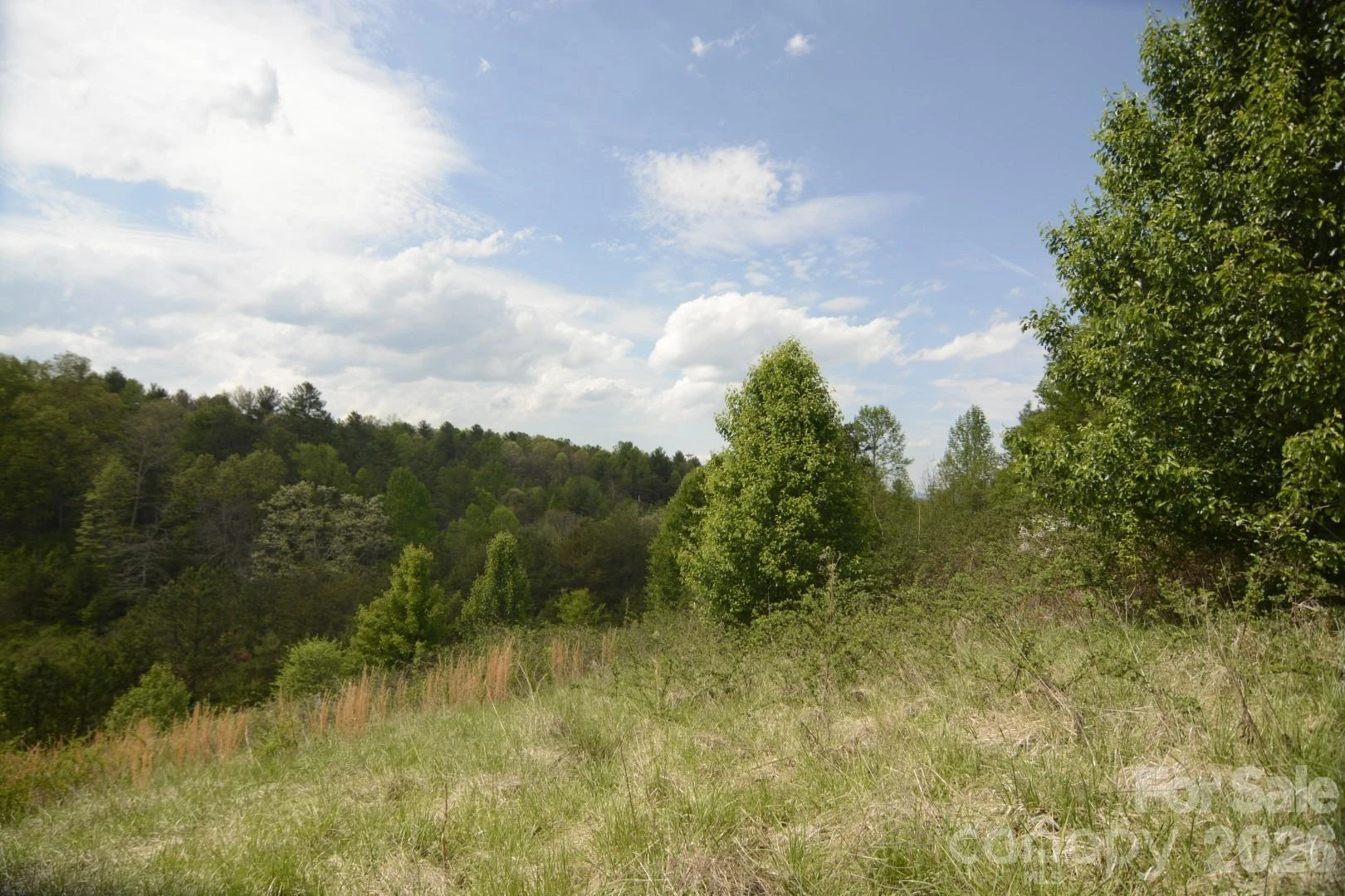 16 Rocking Chair Lane - Photo 20