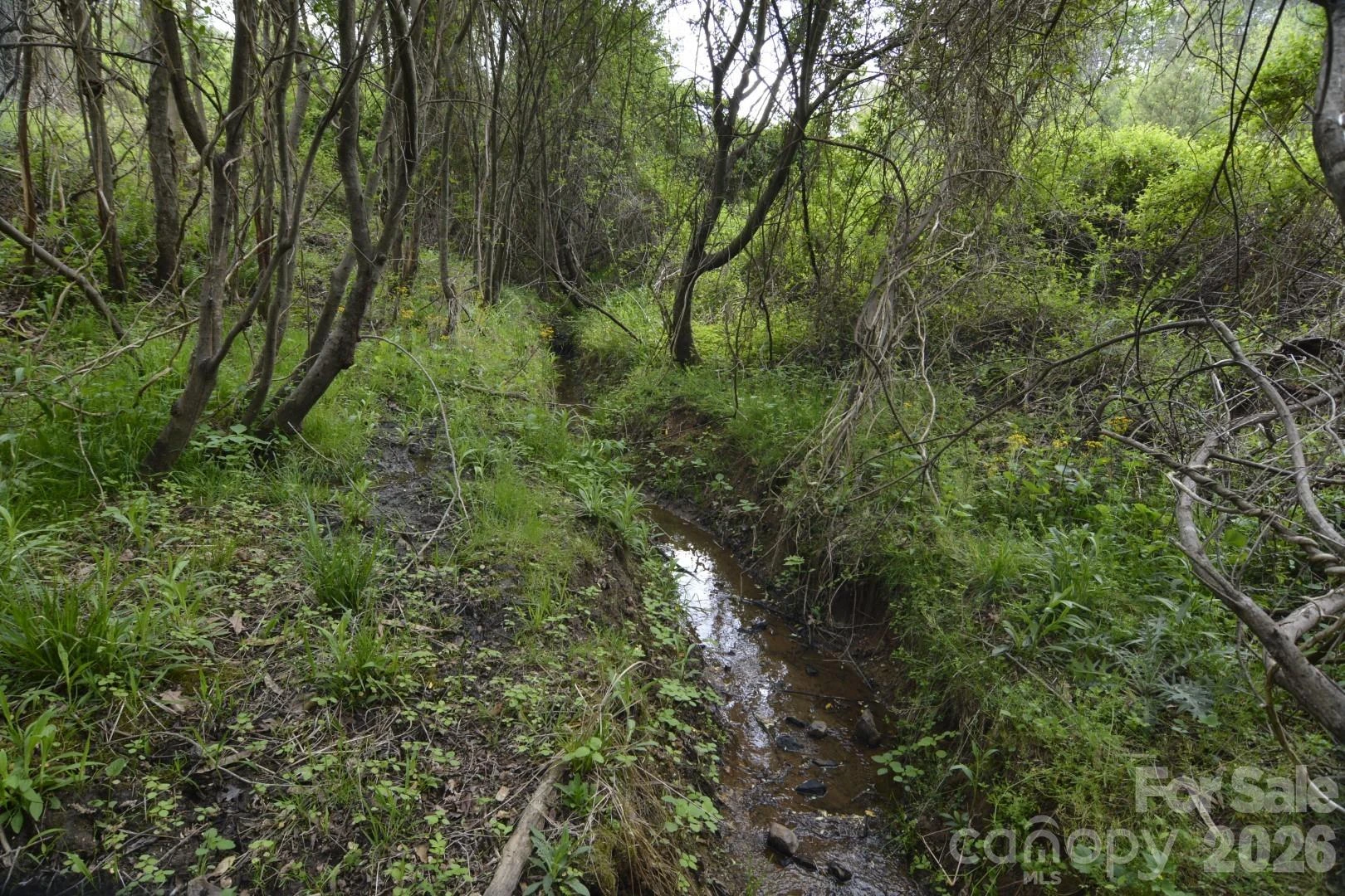 16 Rocking Chair Lane - Photo 21
