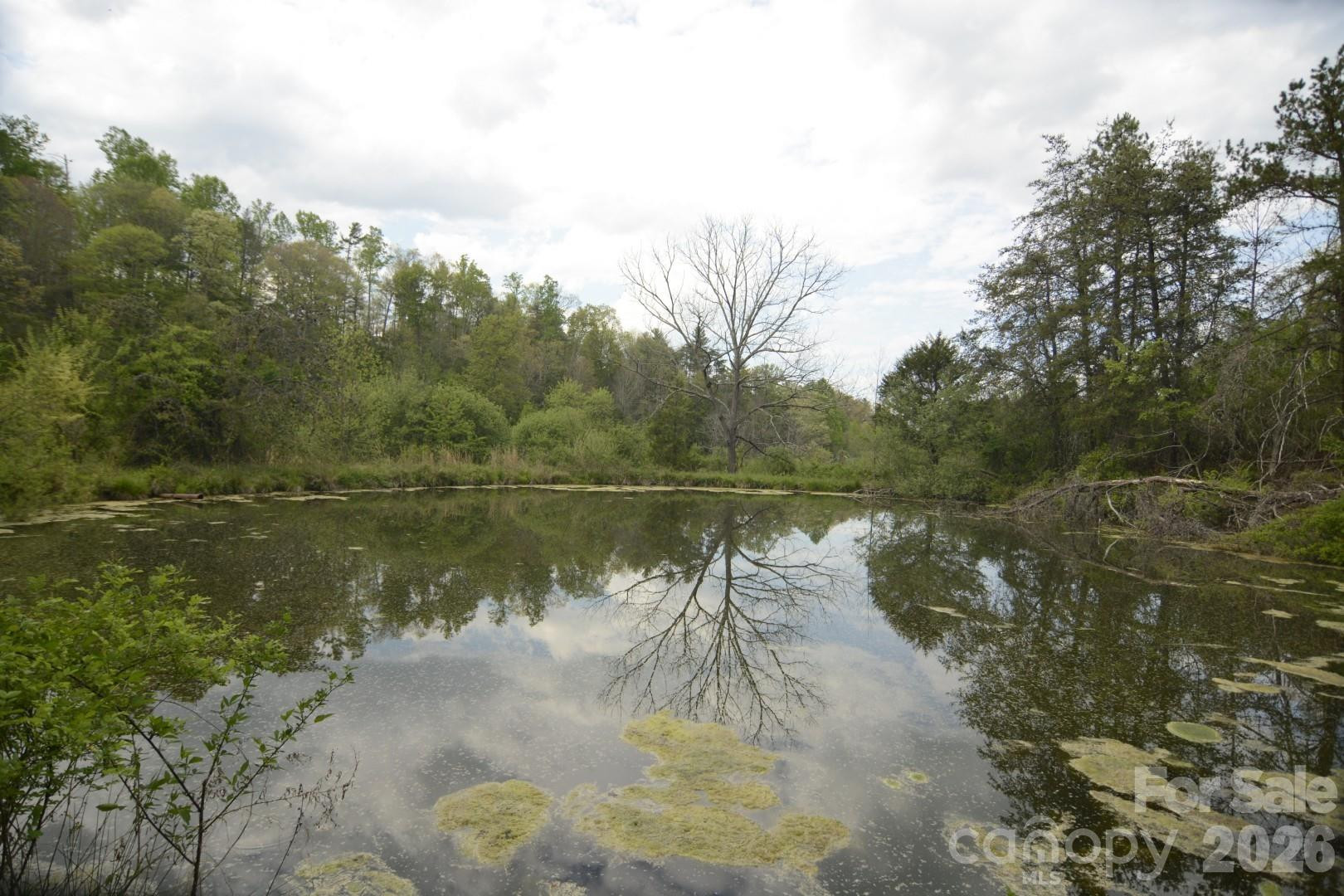 16 Rocking Chair Lane - Photo 25