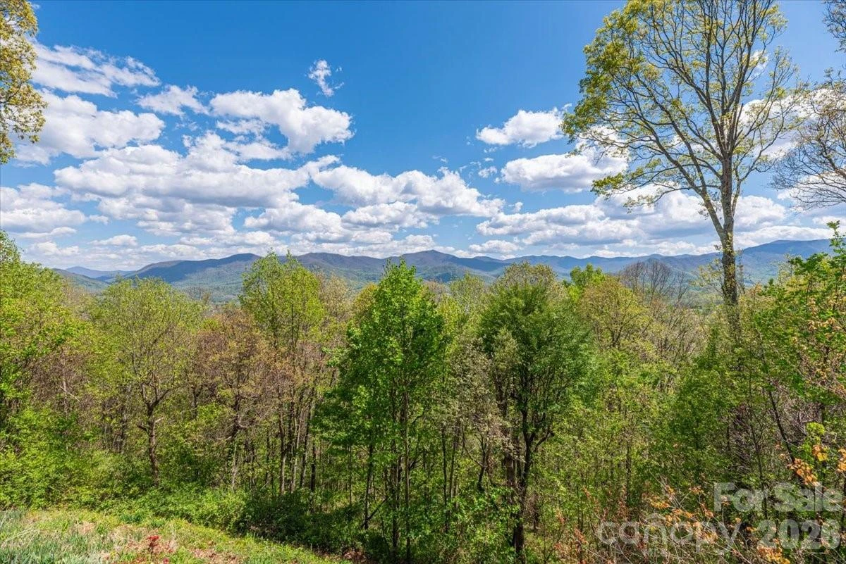 1108 Rocky Knob Road - Photo 8